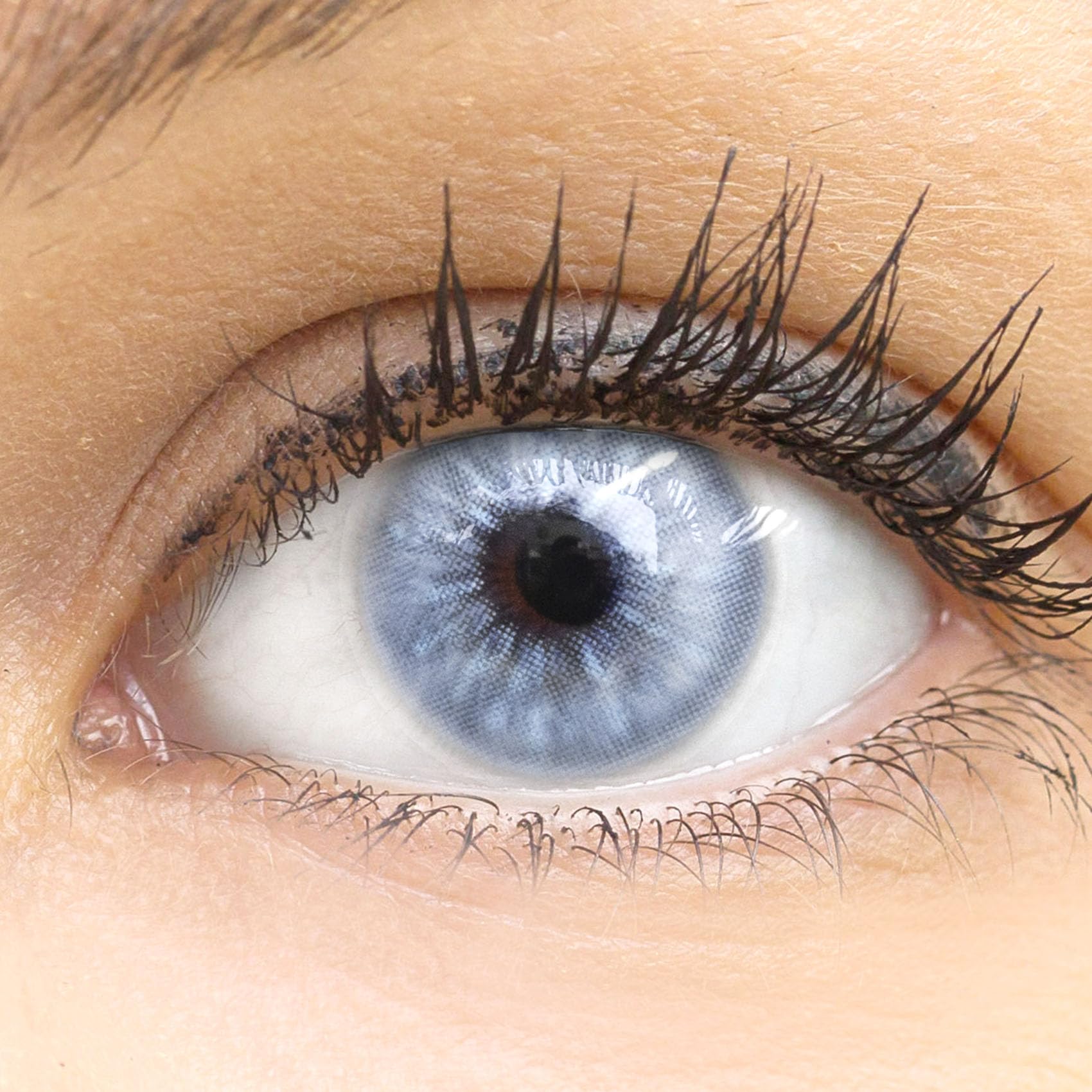 GLAMLENS lentillas de color - gris Almeria + contenedor. 1 par (2 piezas) - 90 Días - Sin Graduación - 0.00 dioptrías - blandos - Lentes de contacto gris de hidrogel de silicona s