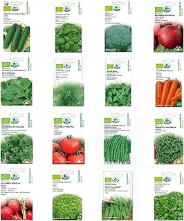 Nojaus Seklos Collection de 16 légumes et herbes - Frais et savoureux de votre jardin