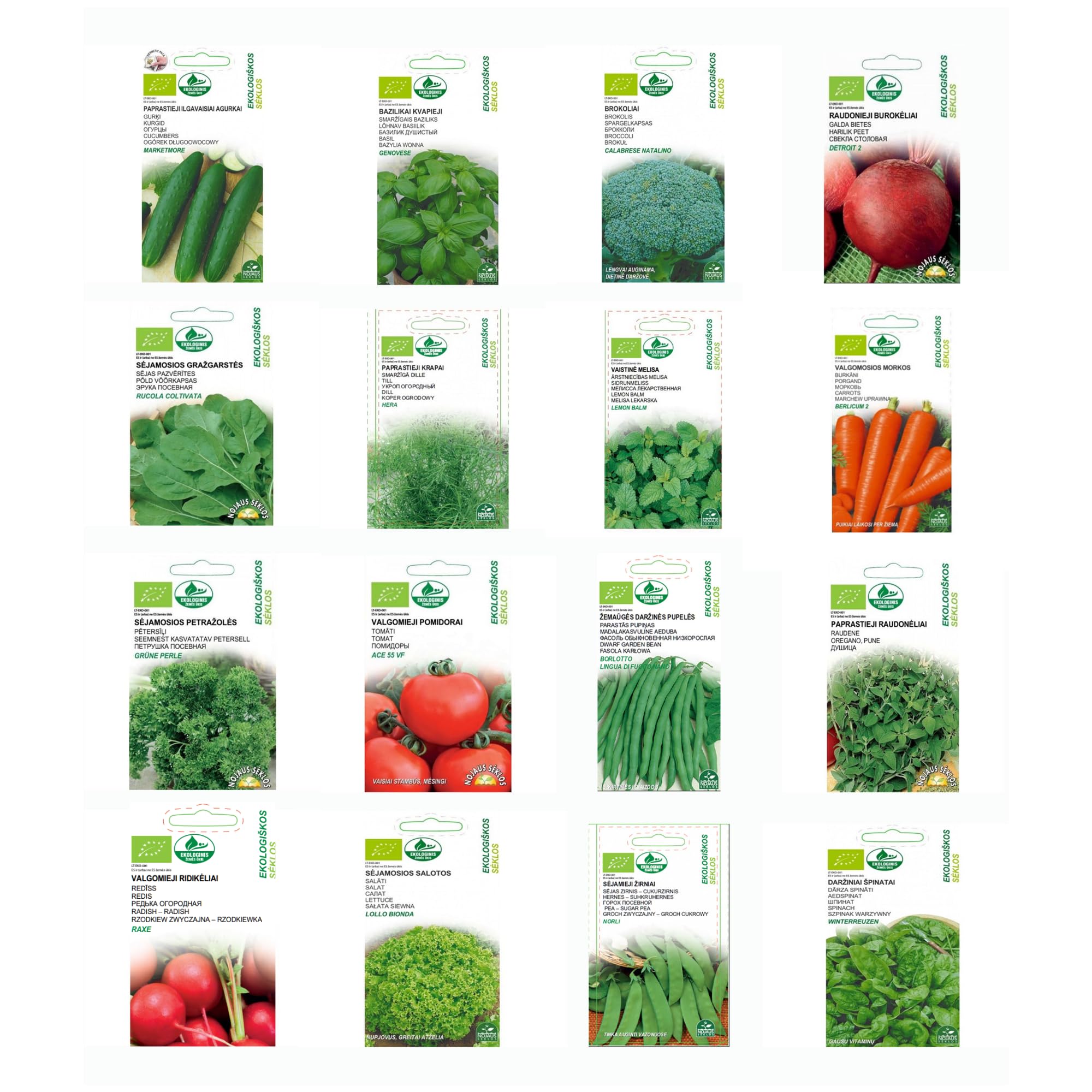 Set di Semi Biologici per Erbe Aromatiche e Ortaggi a Foglia