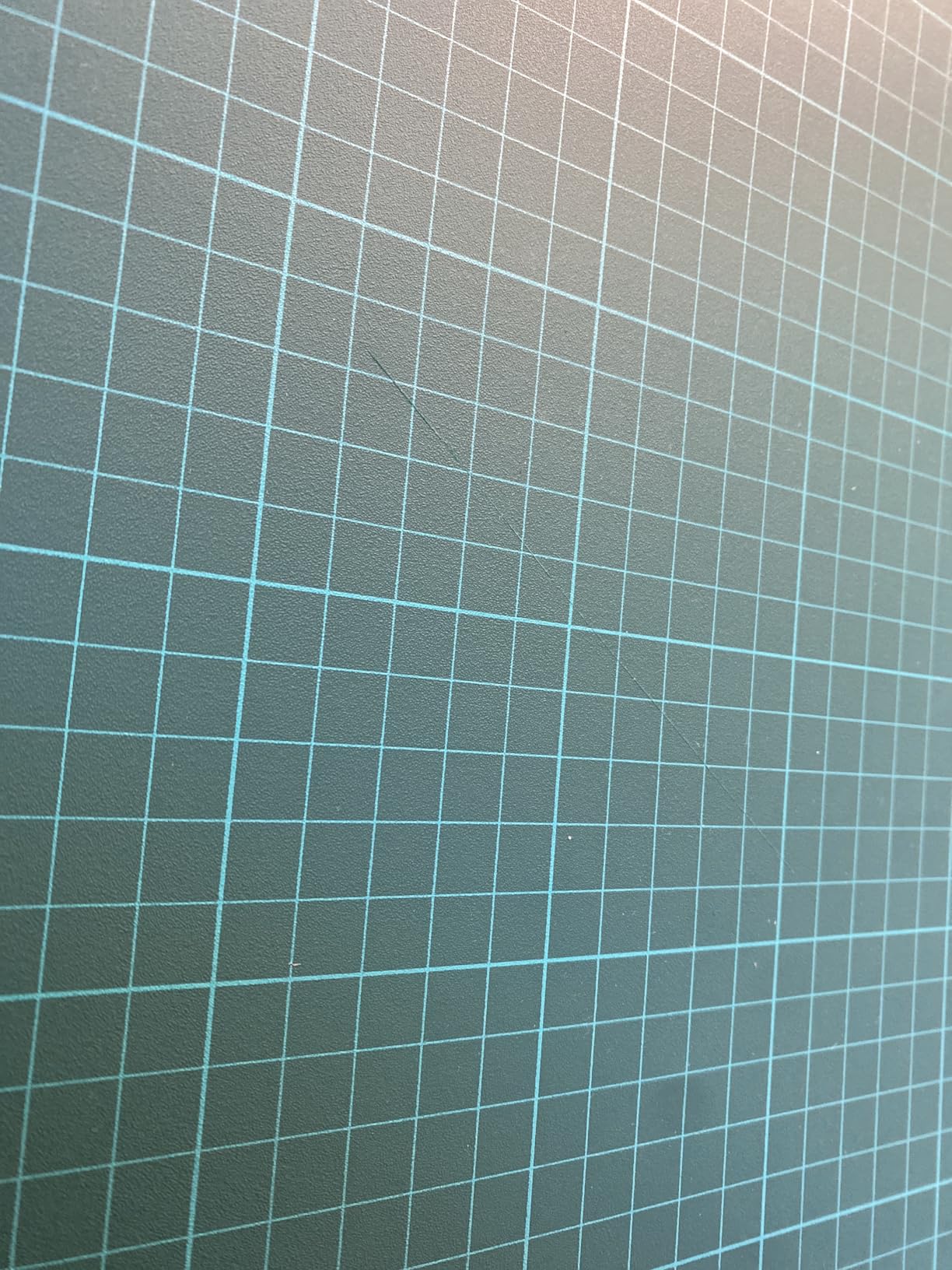 Immagine del cliente