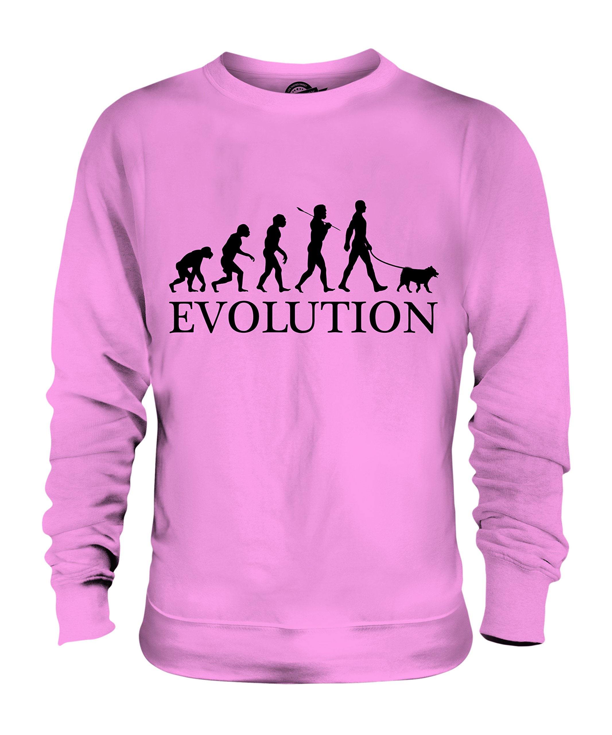 Sweat Chien d'Élan Norvégien Gris Évolution pull imprimé mode unisexe - 3
