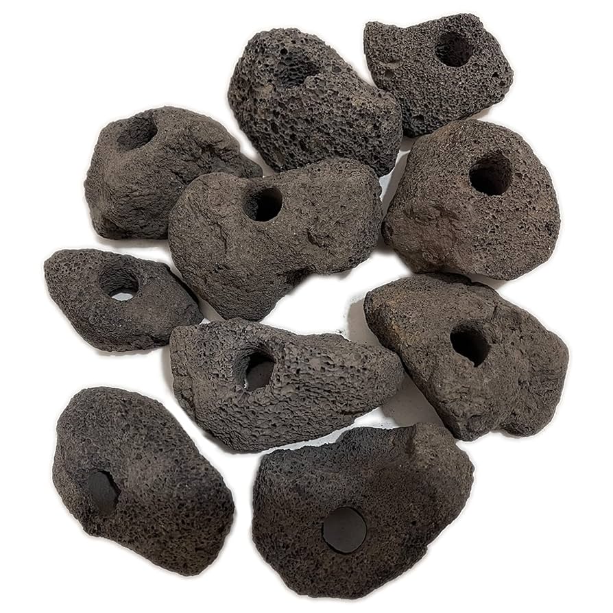 Amazon | S-NET 溶岩 石 火山 岩 水槽 穴あき オブジェ 10個