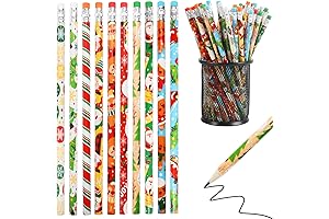 DIYASY Holiday Erasers for Kids in Bulk