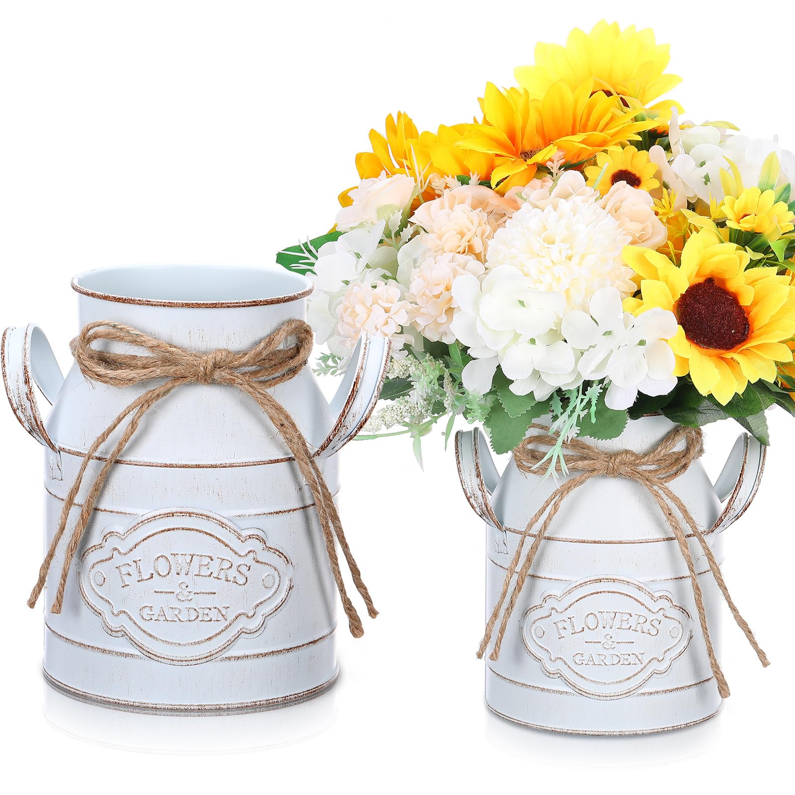 Amazon.com: Roshtia 2 Pcs 6 Inch Metal Milk Can Jug Bulk Vintage