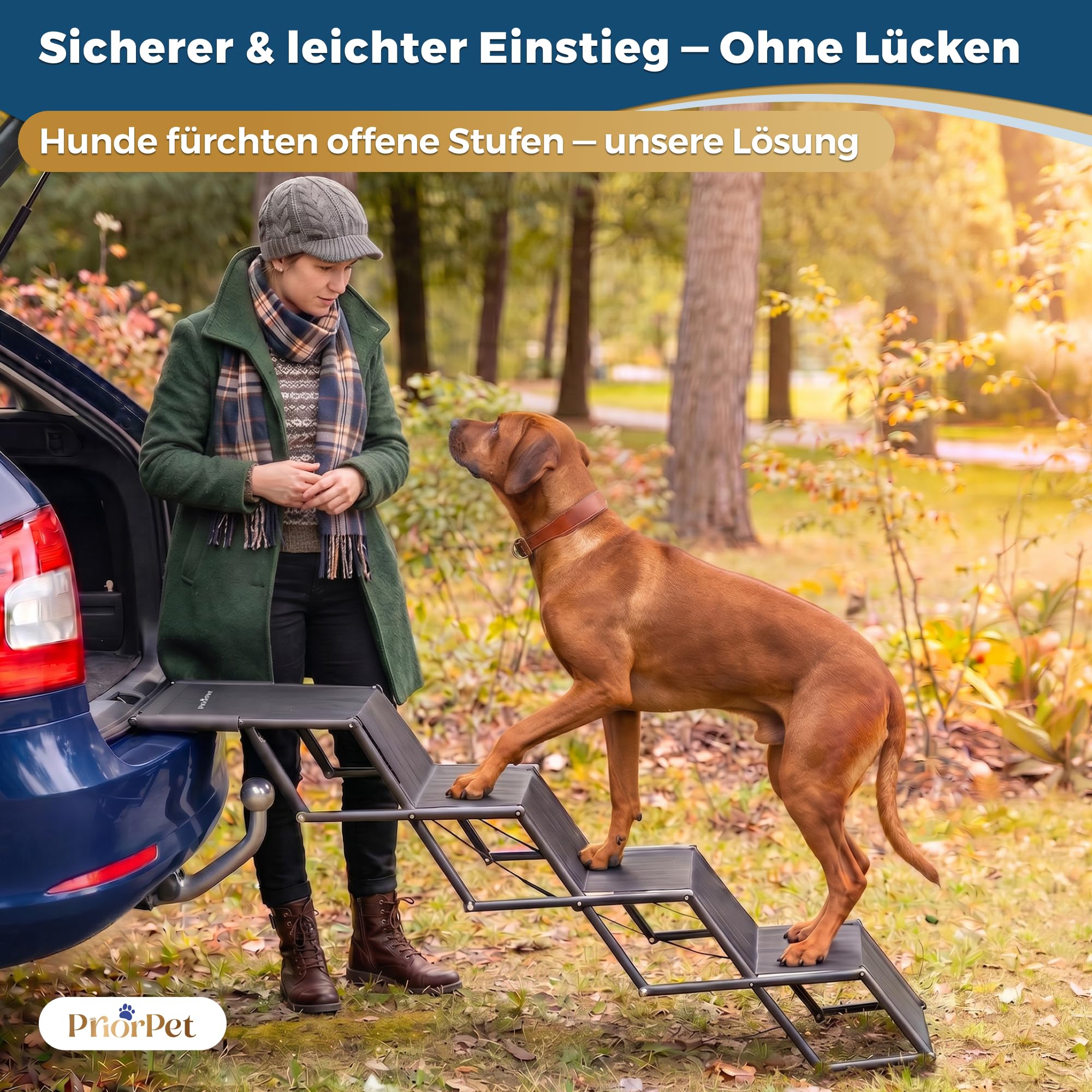 Hundetreppe Auto Klappbar – Leicht & Verstellbar 53–81 cm für SUV & Kombi – Hunderampe Alternative für Große Hunde – Gelenkschonende Einstiegshilfe – Geschlossene Stufen & Anti-Rutsch – Bis 65 kg