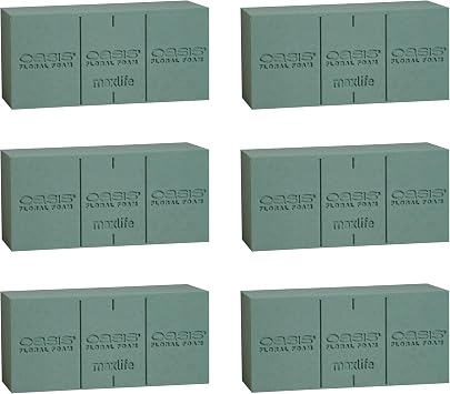 Oasis Floral Foam MaxLife Standard Size Floral Foam Bricks, Pack of 6 Professional Hydration & Secure Stem Support for Fresh Flower Arrangements