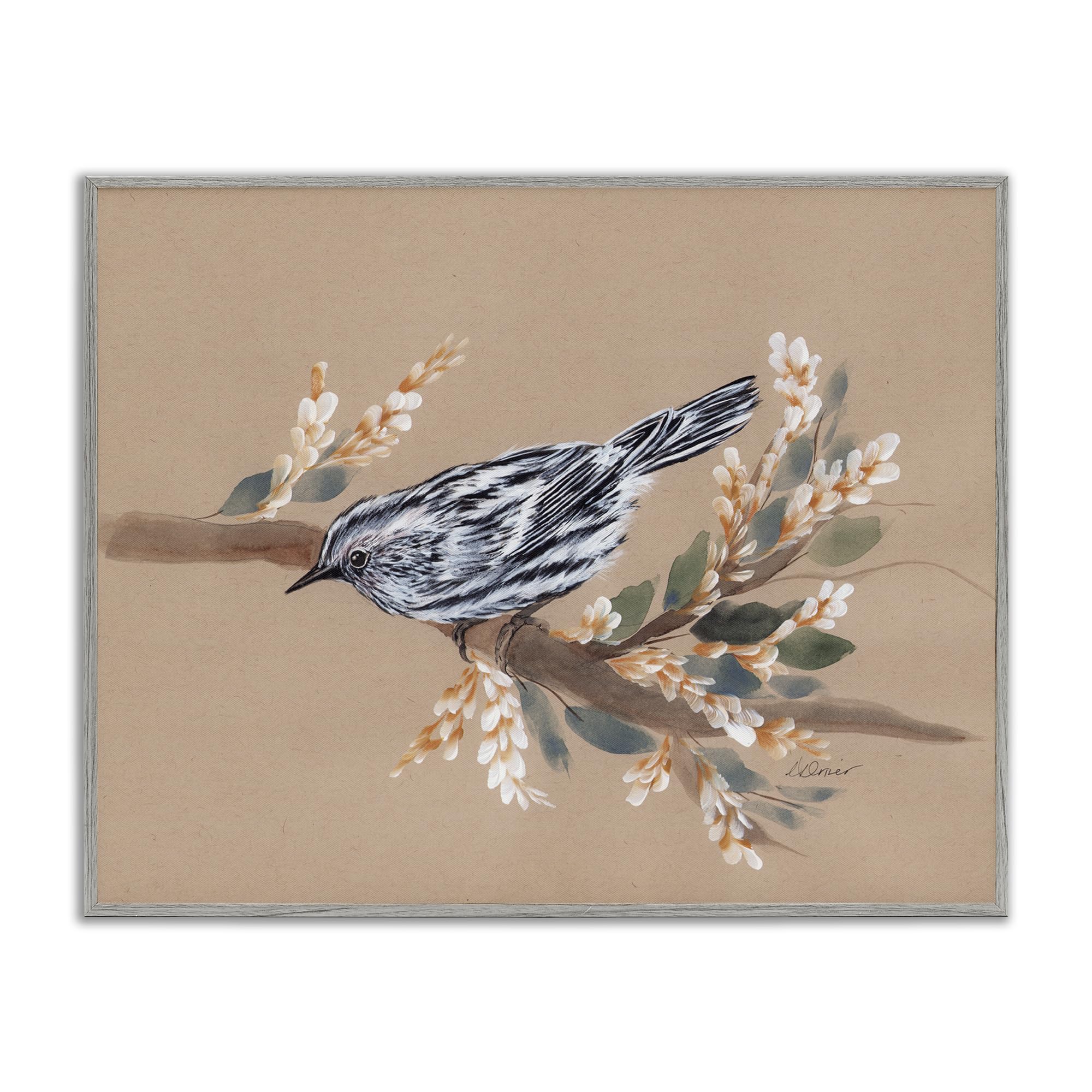Stupell Industries Bird on Delicate Branch Black Framed Giclee Art, design by Cady Driver, 16 x 20