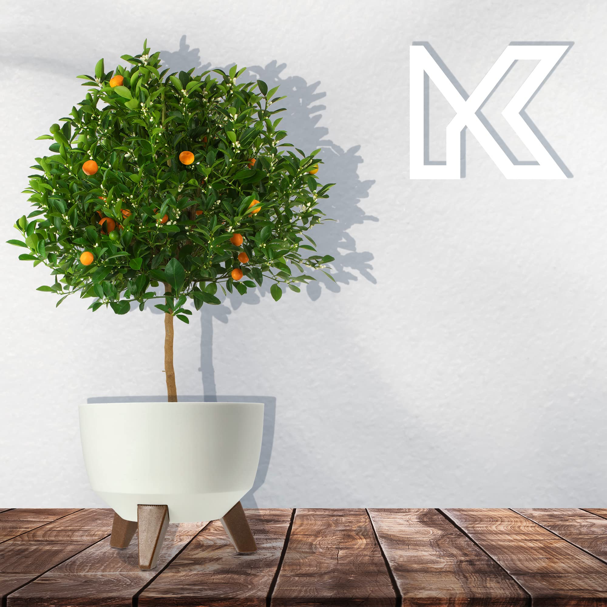 KADAX Maceta Decorativa de Plástico con Soporte Integrado, Macetero con Tres Patas de Imitación Madera para Interior y Exterior (Blanco, 24 cm)