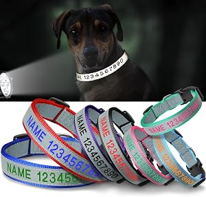 Top-Rated Nylon Adjustable Collar — Best Premium