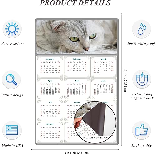 Miniatura 6 de Calendario magnético 2024  Imanes del calendario  Today is my Lucky Day  Resistente a la decoloración, desgarros y agua  Temática de gato 1 (7 x