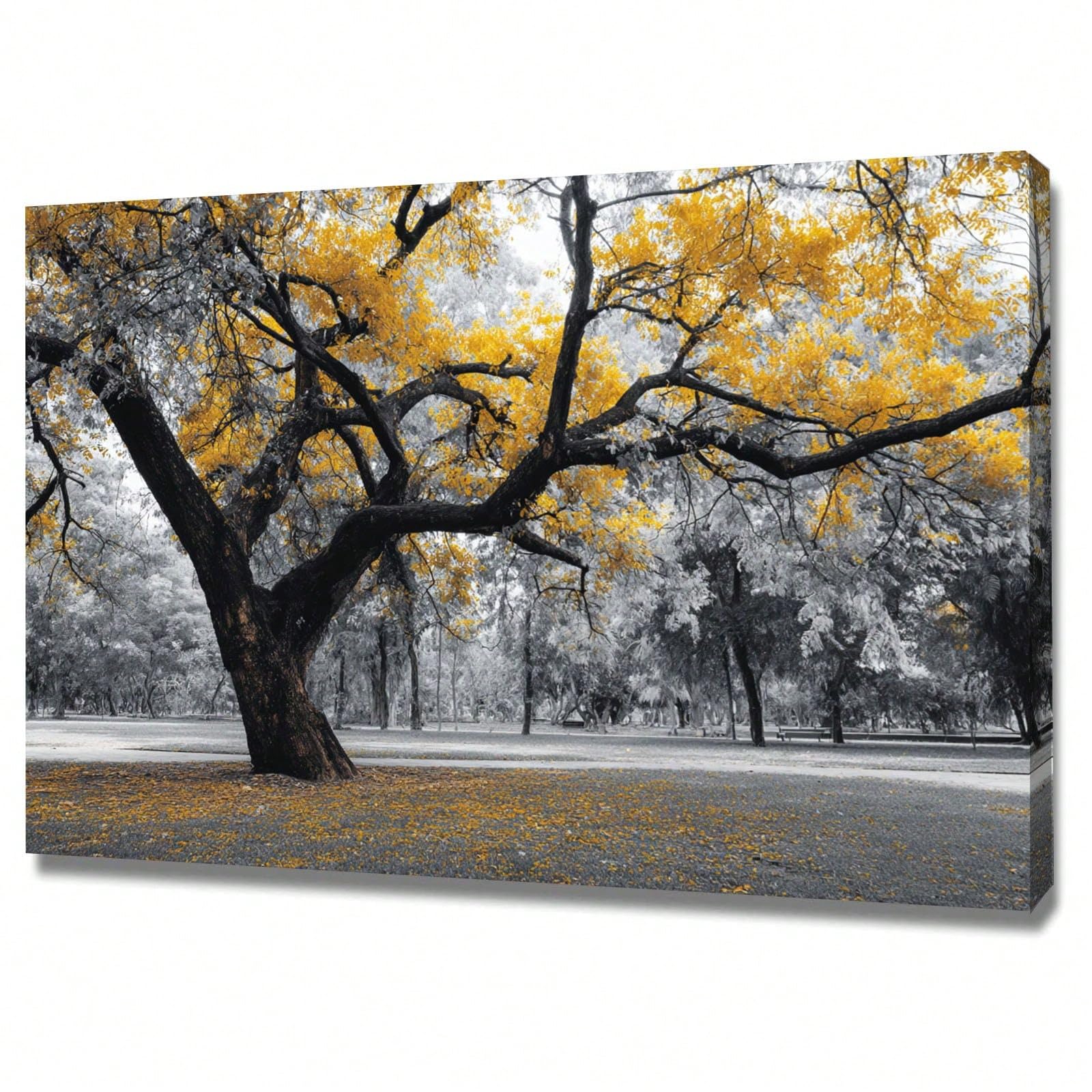 AIHNBF Cuadro de paisaje de árbol amarillo en blanco y negro natural color selectivo impresión en lienzo otoño bosque paisaje imagen gran árbol obra de arte para sala de estar dormitorio decoración 60