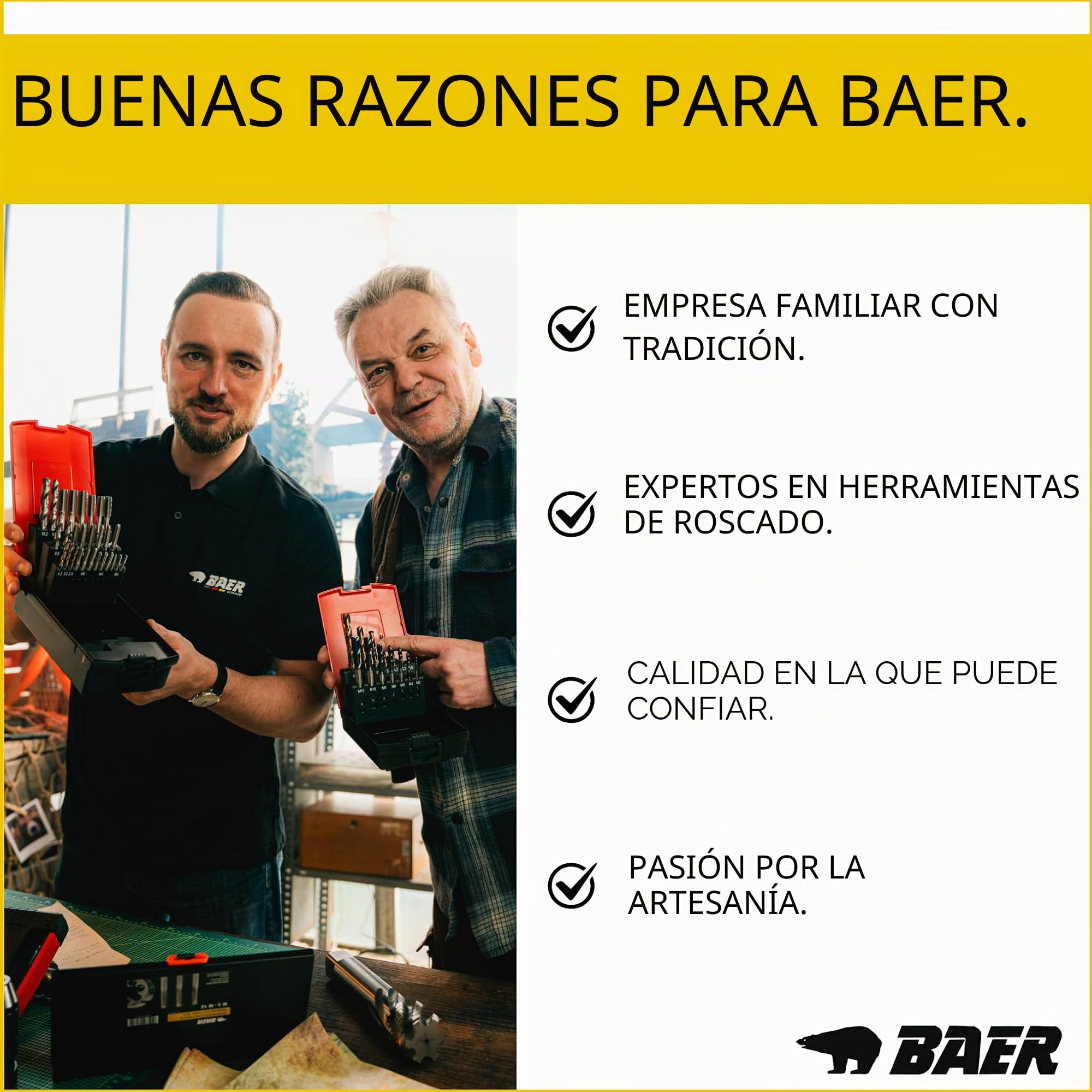 BAER Juego de machos de roscar M3-M12, 14 piezas, HSS-G, agujero ciego, forma C, juego de machos métricos DIN 371, tolerancia 6H, juego de roscas de acero hasta 900 N/mm²
