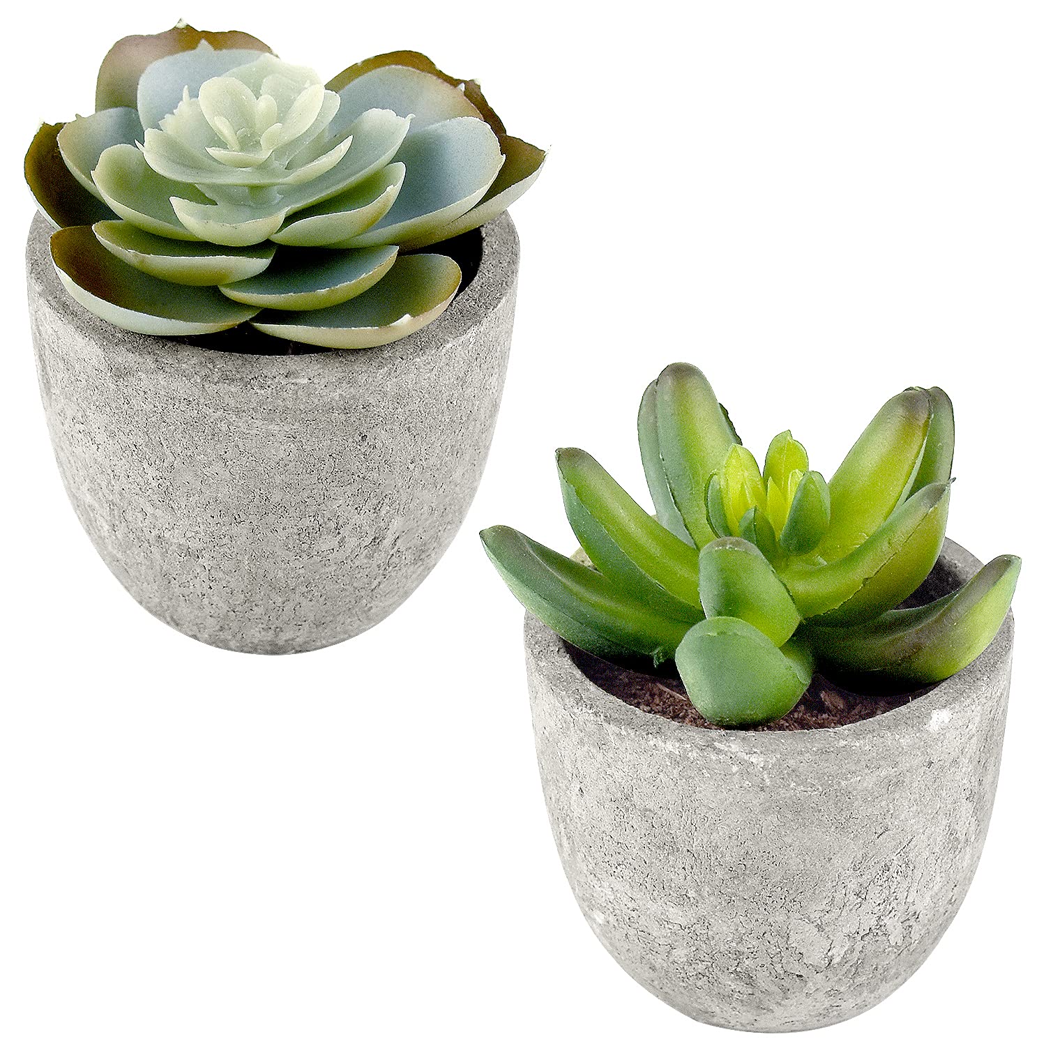 Artificial Succulents Set of 2 Mini Realistic Fake Plants with Plastic Pots for Home and Office Decoration