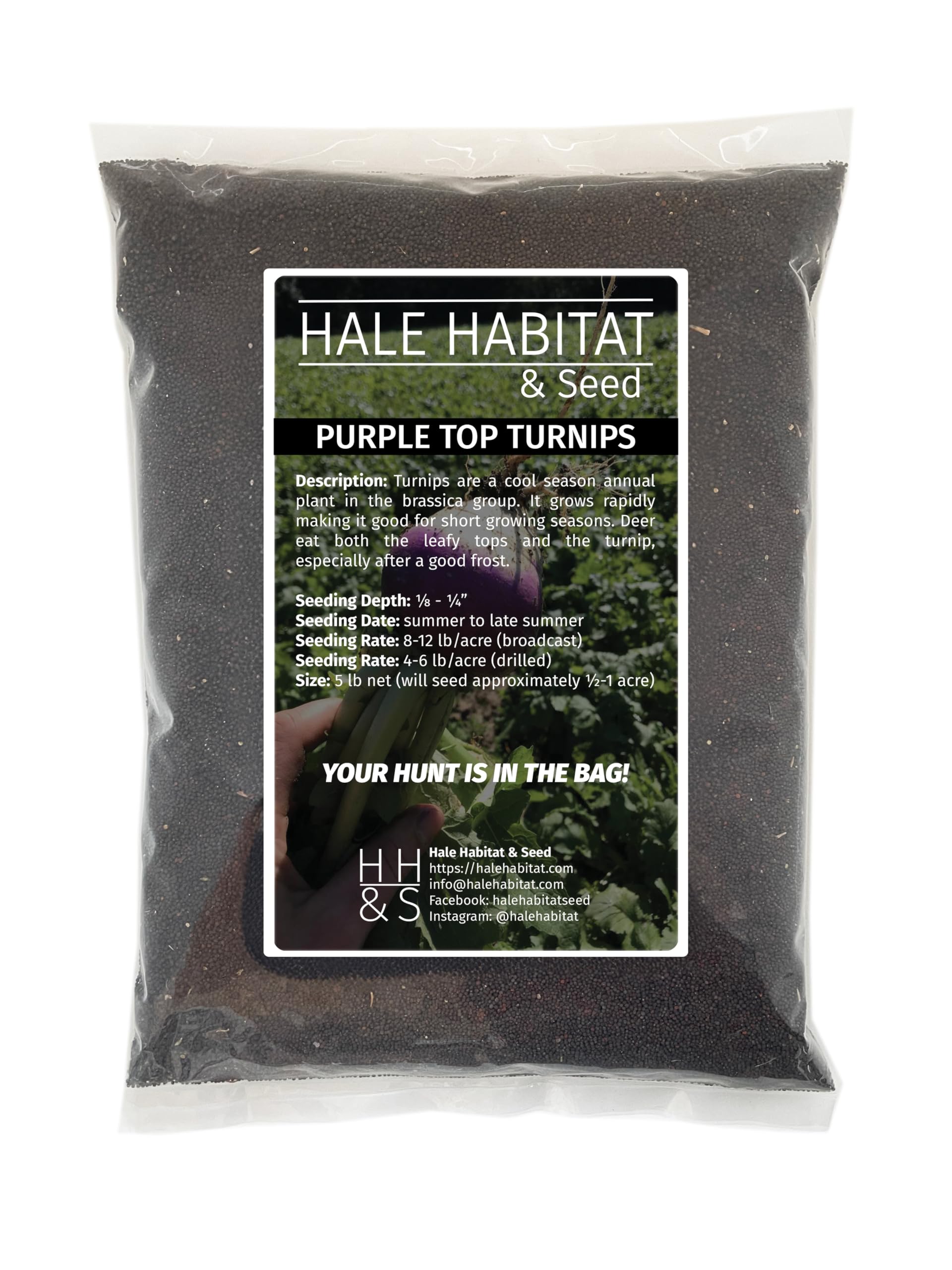 Hale Habitat Purple Top