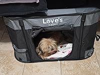 Review Image by Rebecca Hernandez