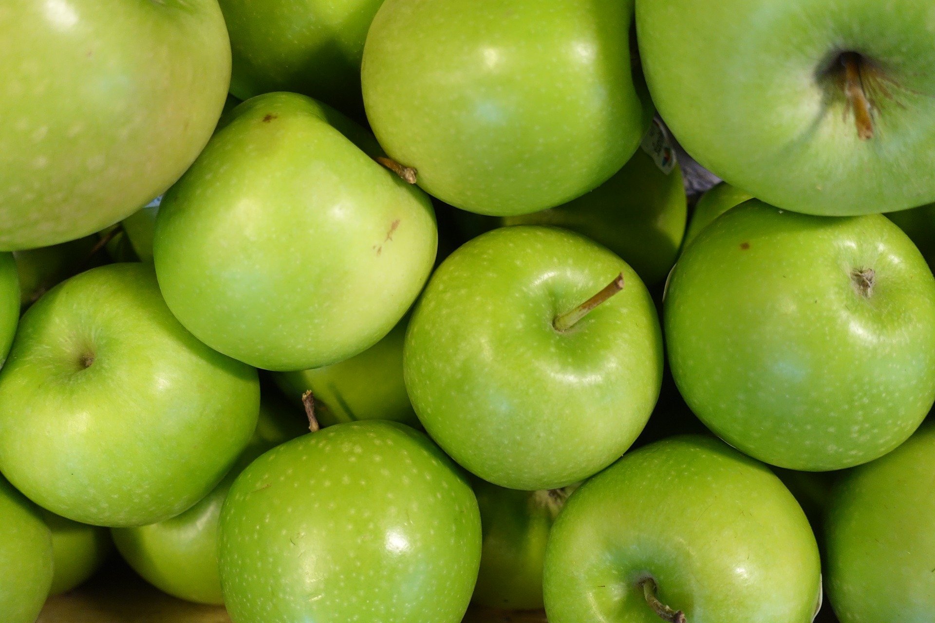 Granny Smith Äpfel Neue Ernteaus Italien oder Frankreich, 5 kg Box