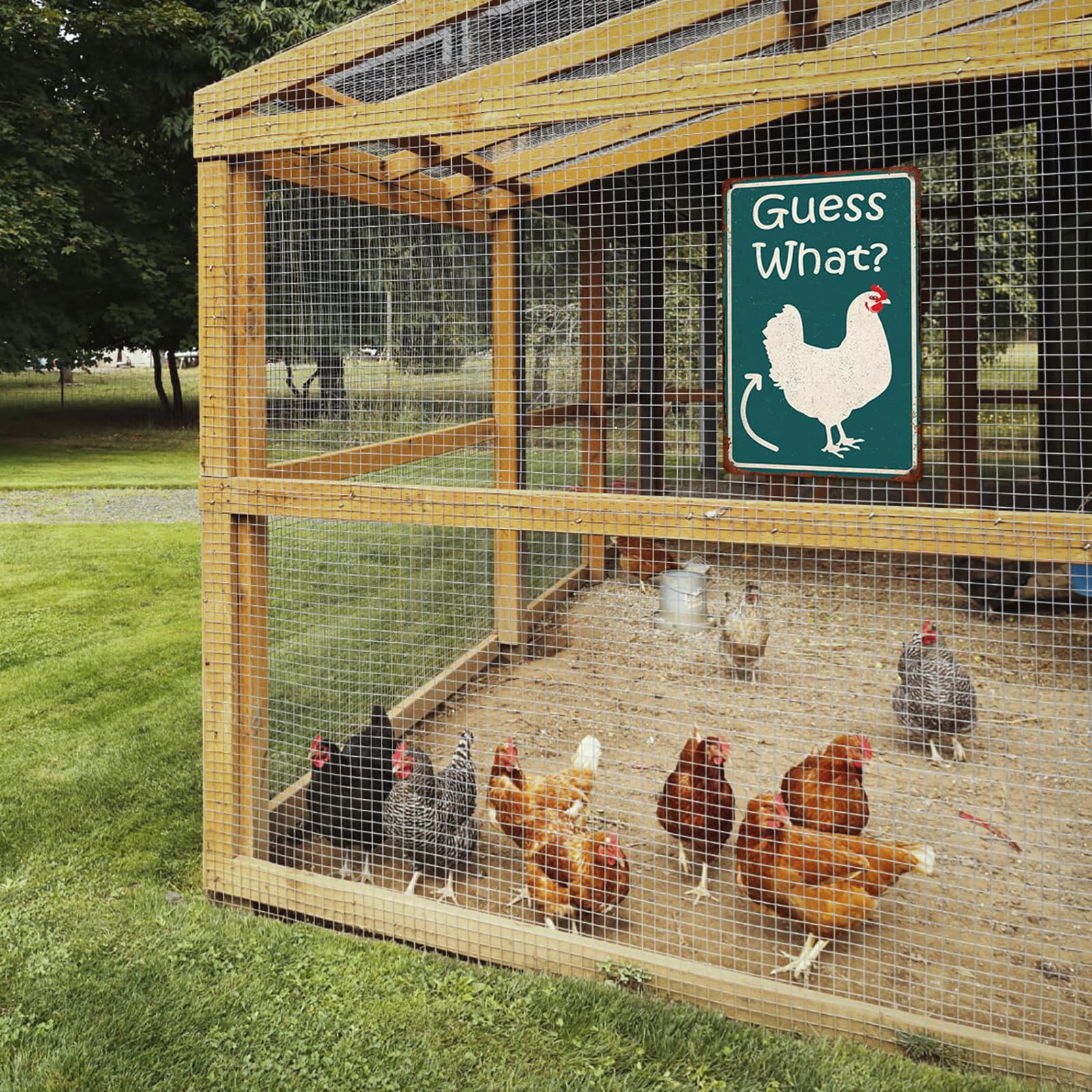 Targa In Metallo Con Pollo E Scritta Guess What Ranch - Poster Retrò 20x30 Cm Per Garage O Cucina