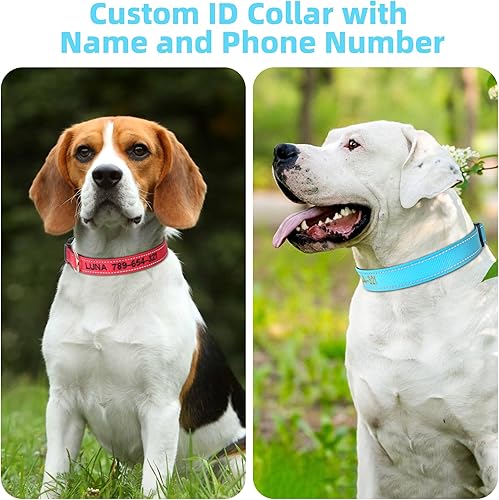 Miniatura 17 de Collar de perro reflectante personalizado, bordado personalizado con nombre y número de teléfono, collar de identificación de nailon ajustable