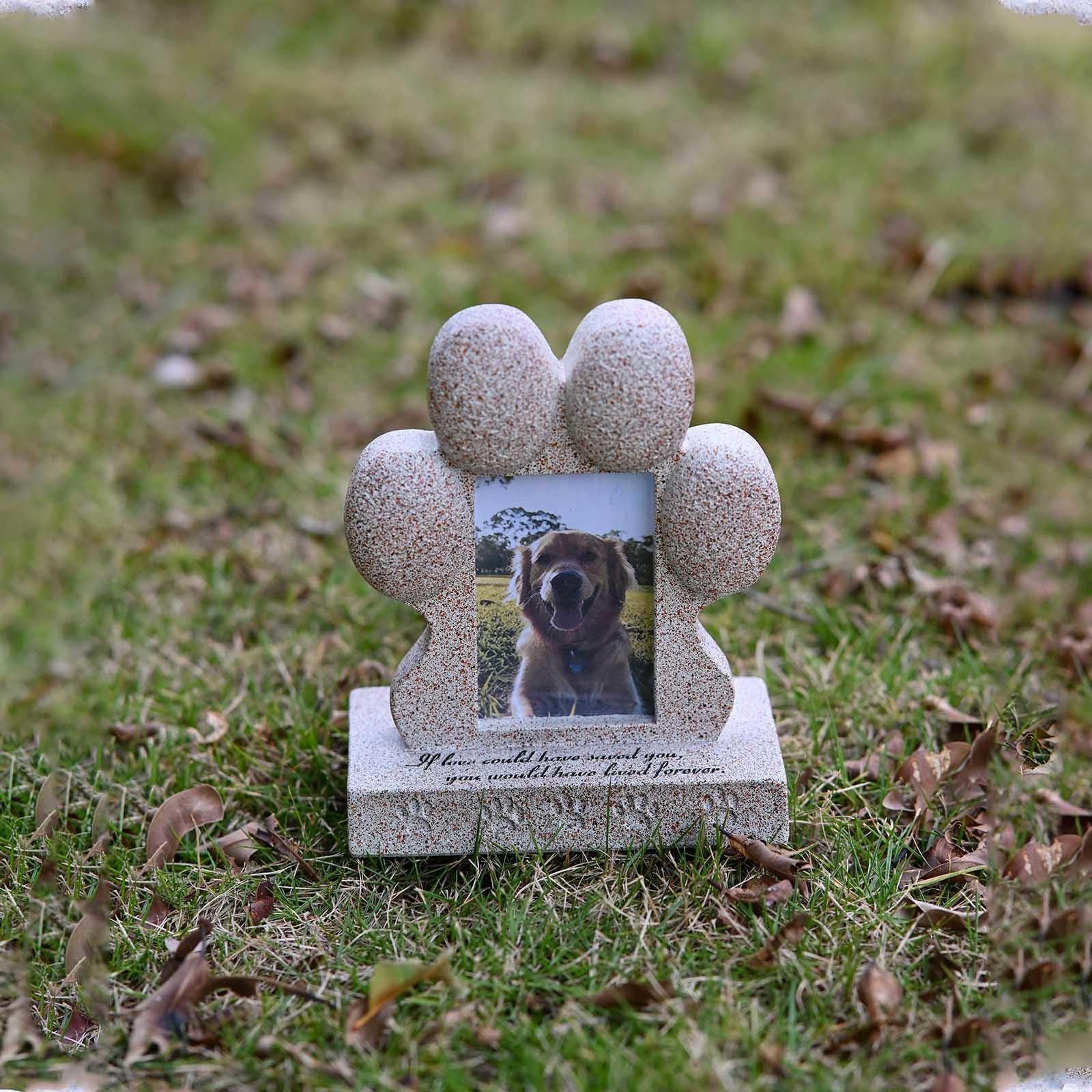 Cornice Commemorativa per Cani e Portachiavi con Peli di Gatto, Pietra Commemorativa per Gatti Ricordo per Cani E Gatti