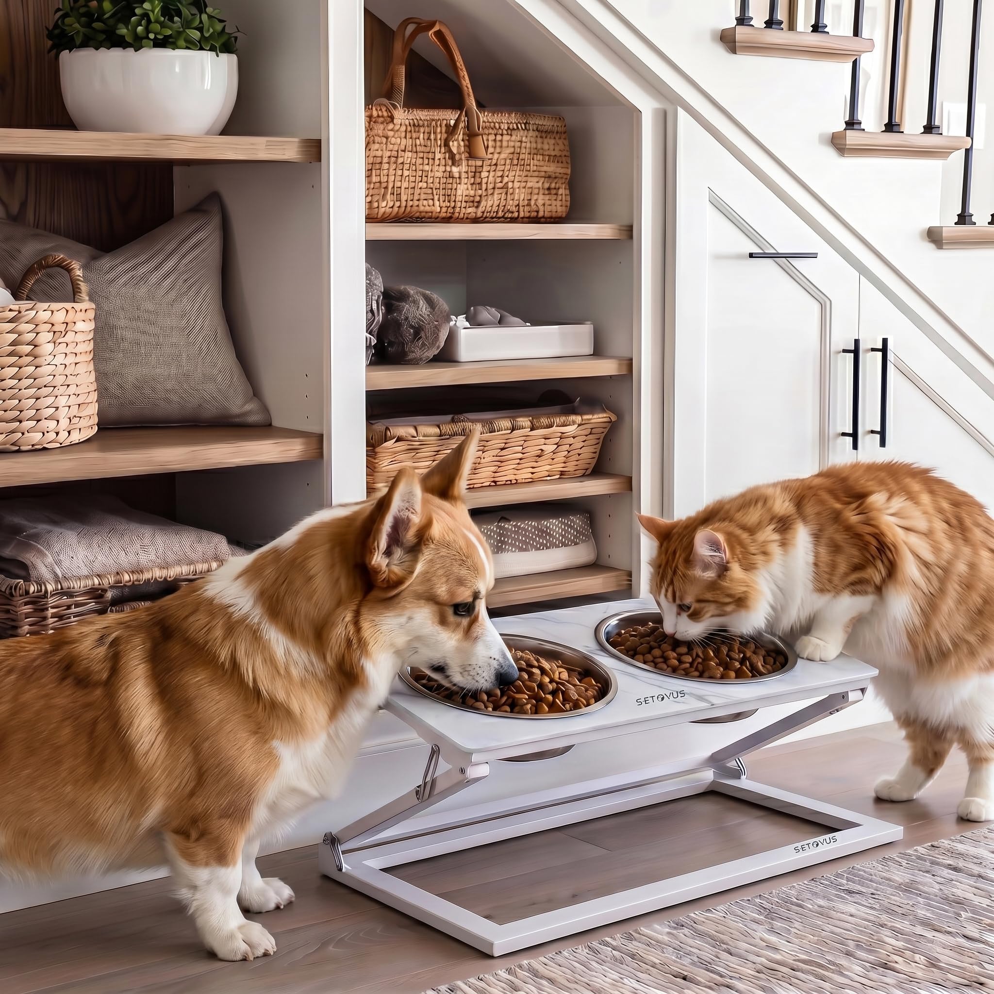 Erhöhter Hundenapf, verstellbarer erhöhter Hundenapfständer mit 2 Edelstahl-Futternäpfen, 20° geneigte Wassernäpfe für kleine Hunde und Katzen (Kunstmarmor (weiß), Größe S