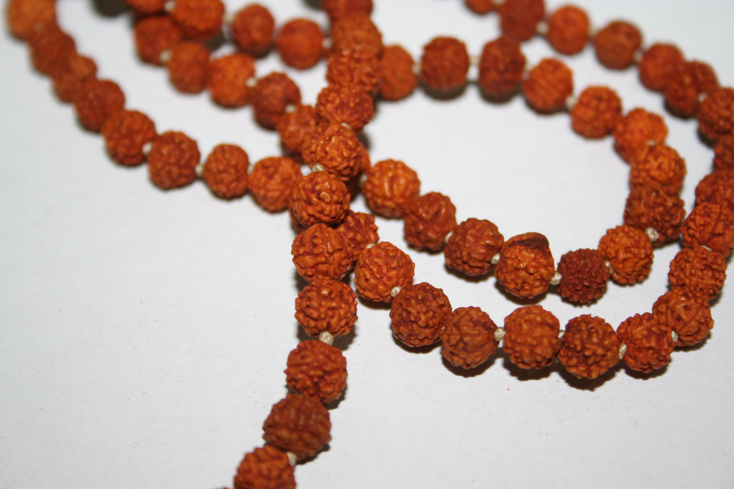 tibetan gifts Rudraksha Japa Mala 10 to 11 mm Prayer Beads