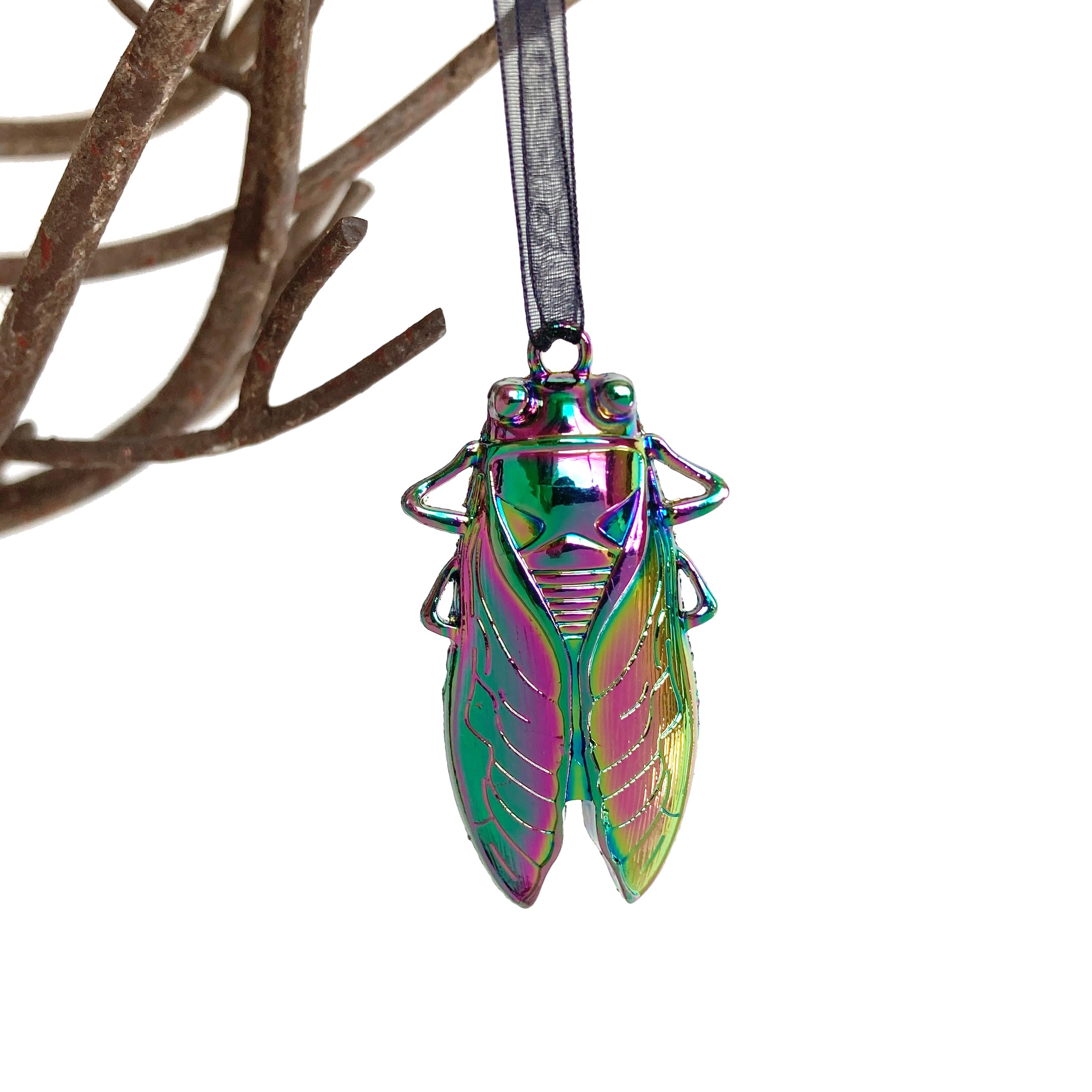 Amazon.com: Enchanted Leaves- Cicada Ornament | Large Iridescent