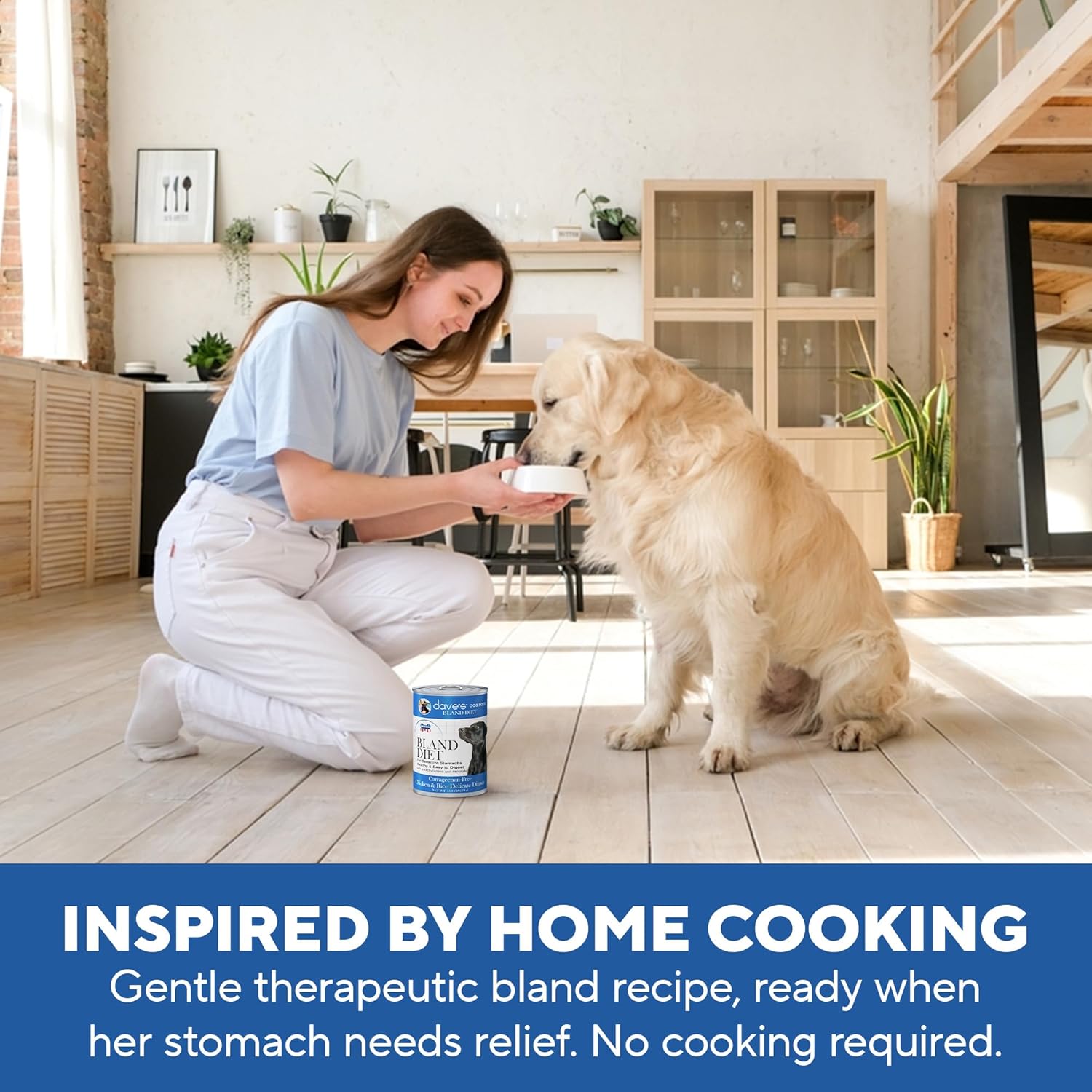 Dave's Pet Food Bland Diet Dog Food (Chicken & Rice), Sensitive Stomach, Easy to Digest, Gluten-Free, Digestive Care, Wet Canned, 13.2 oz (Case of 12) - Image 8