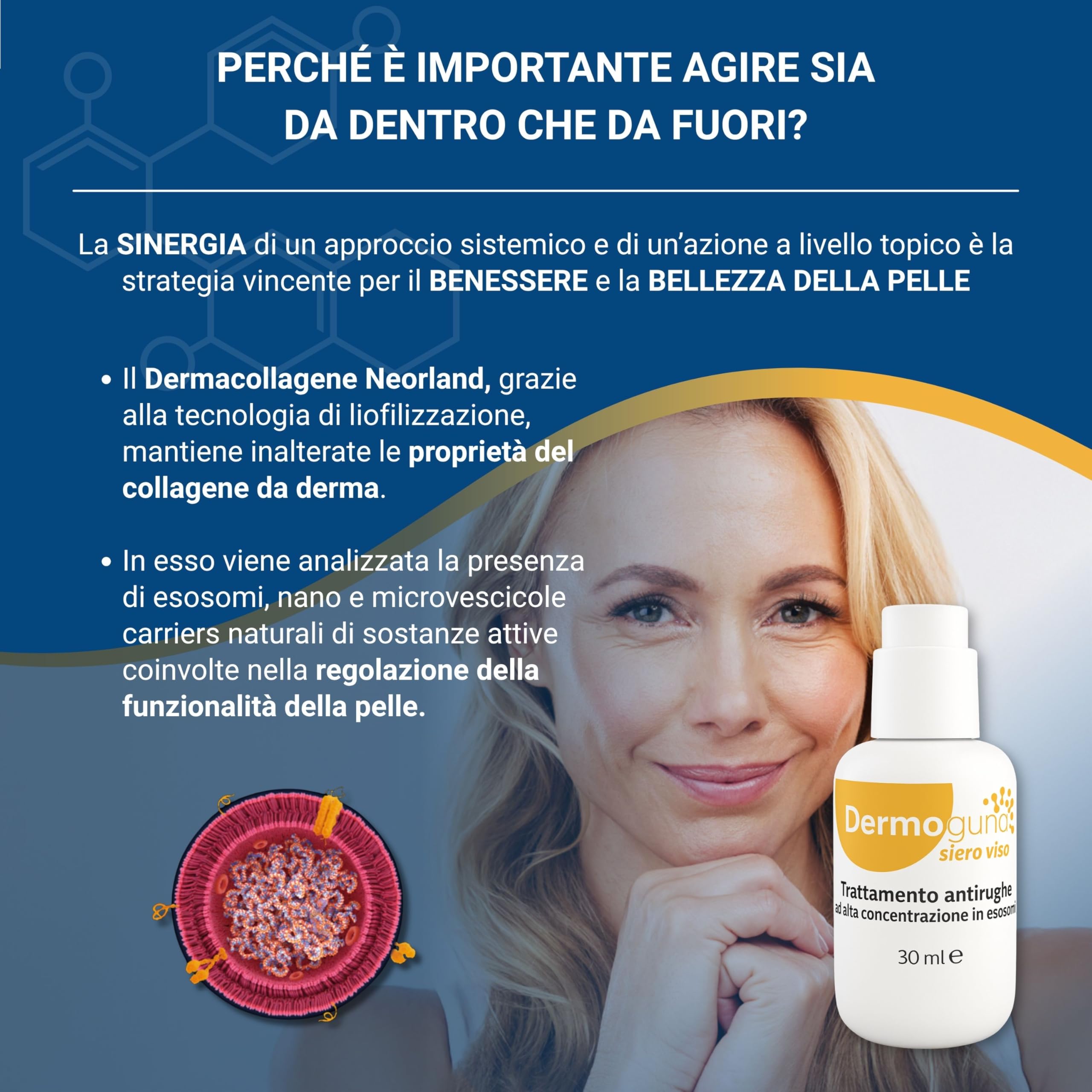 GUNA Dermoguna Siero Viso Antirughe 30 ml - Alta Concentrazione di Esosomi di Dermacollagene - Migliora il Tono, l'Elasticità della Pelle e Riduce la Visibilità delle Rughe