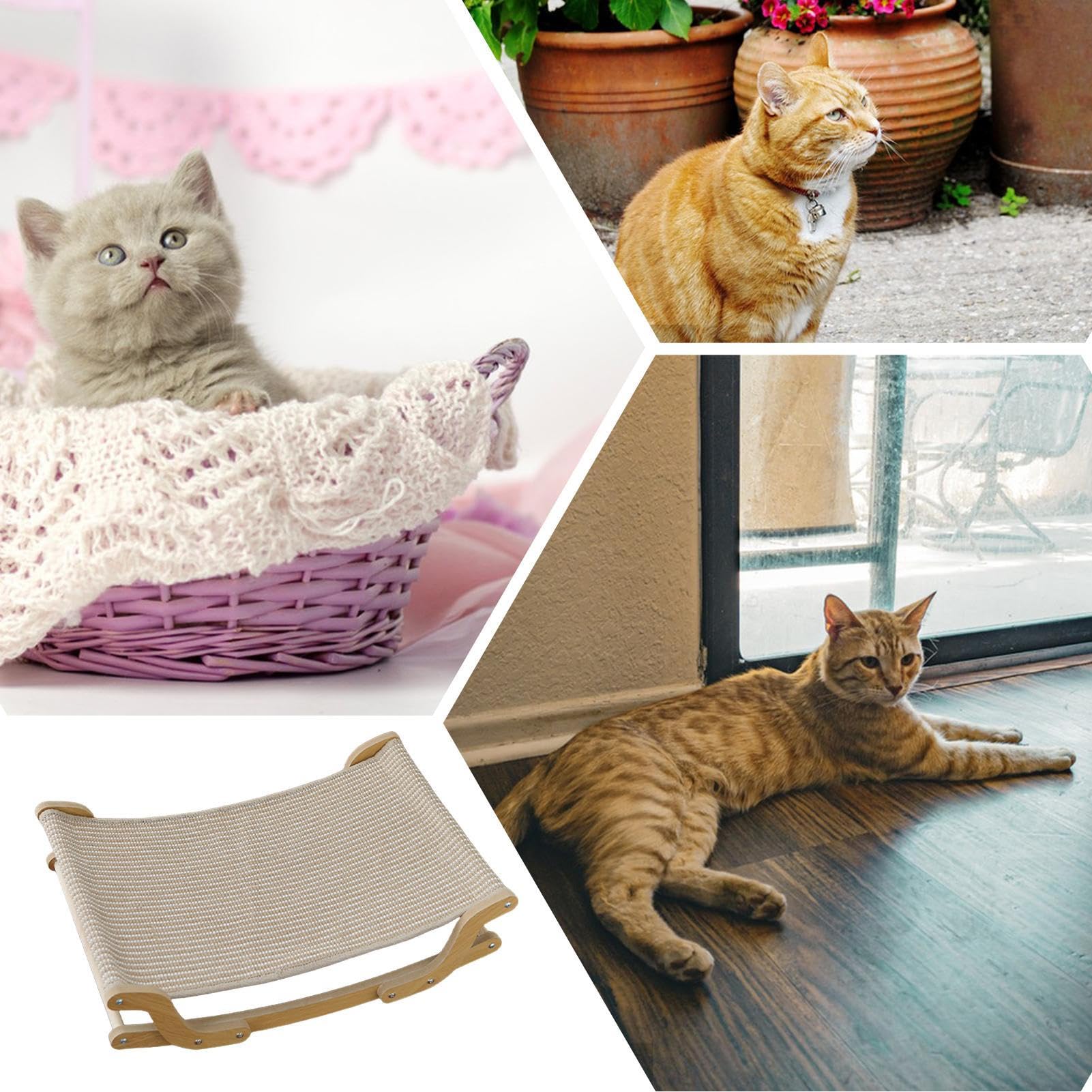 Chaise Griffoir Chat rafraîchissant pour Animal, Espace, griffoir Repos