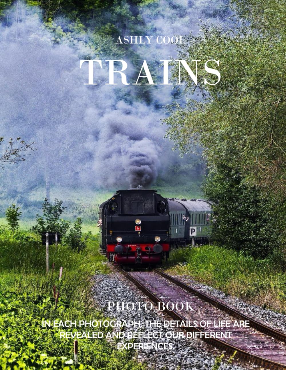 Trains: Exploring Trains: A Visual Journey Through the History and Beauty of Rail Travel