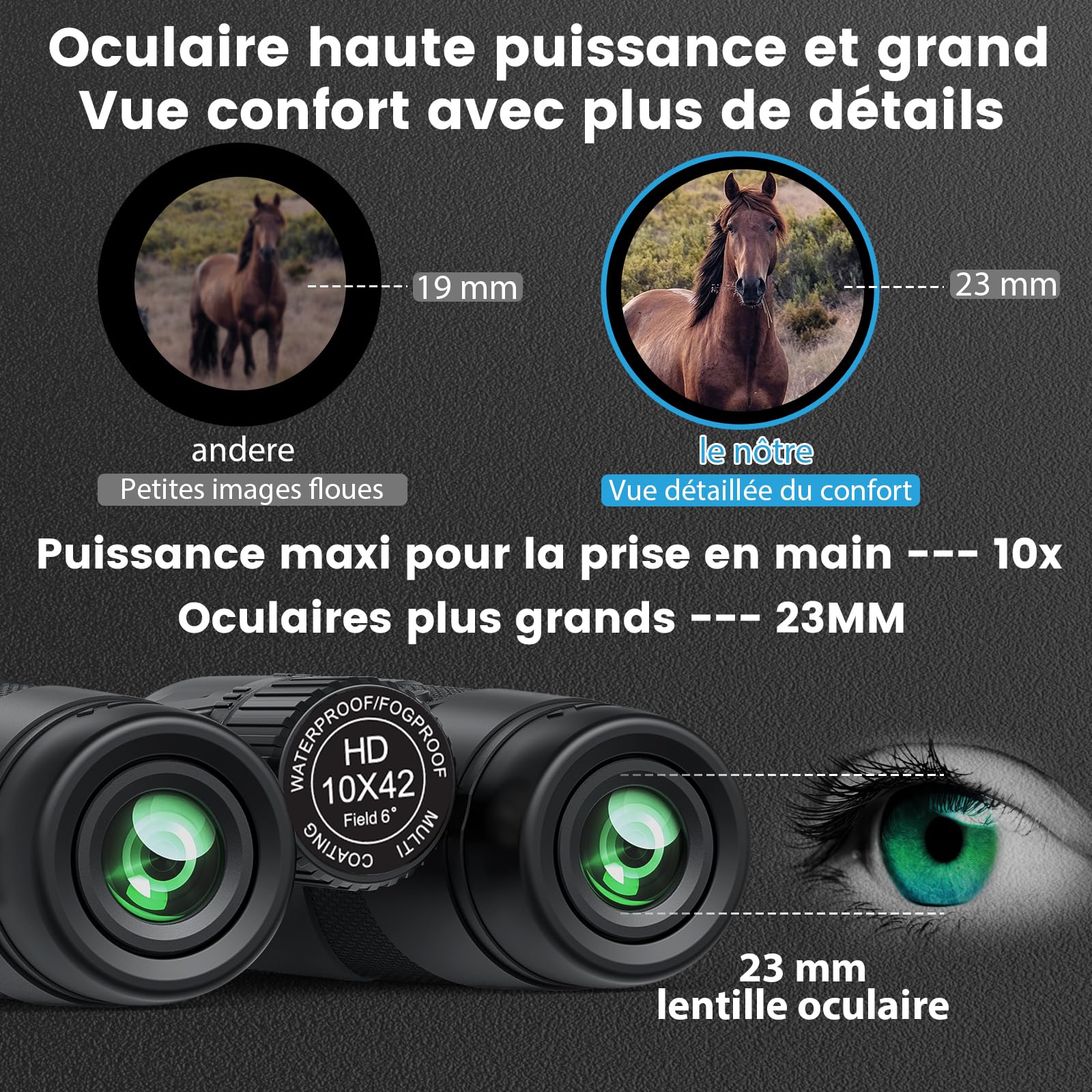 Timorn Jumelles Adultes 10x42 Professionnelle HD étanches légères