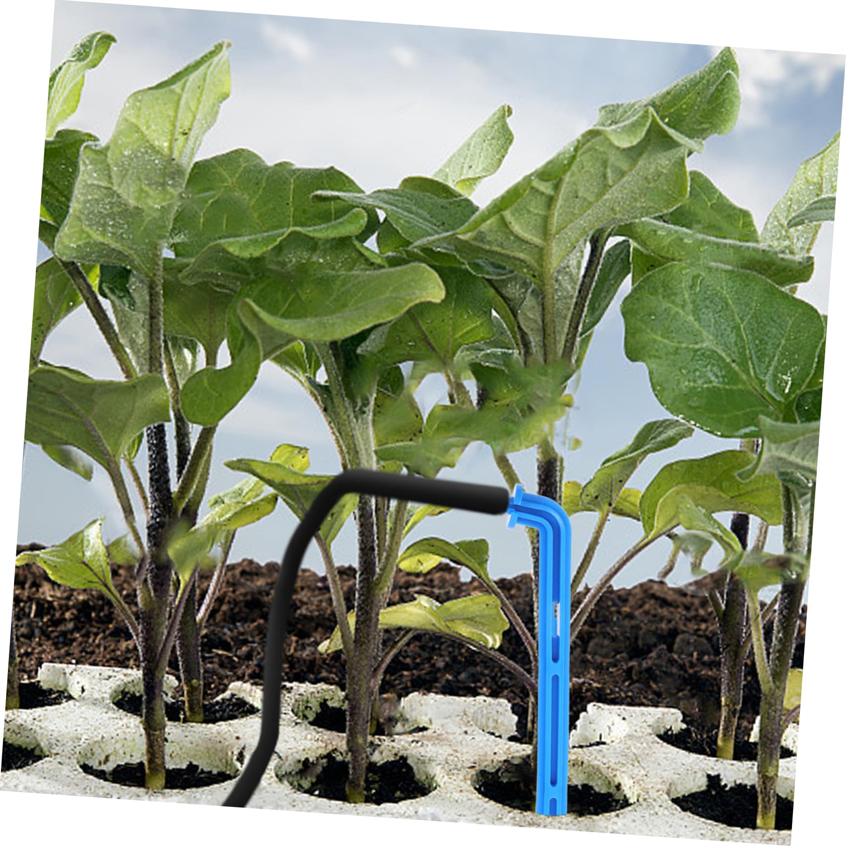 BESPORTBLE 4 Set Irrigatore Automatico A Goccia Picchi Bagnante Gocciolante Irrigazione Impianti per Irrigazione Piante Picchetto Automatico A Goccia Irrigazione Automatica A Goccia 100 Pz*4