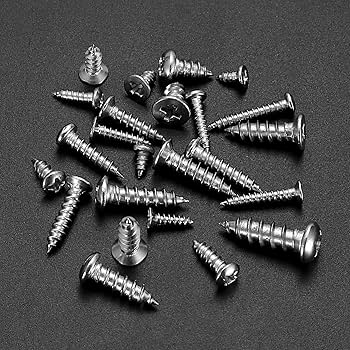専用　6セット(金ネジ) Amazon | Zxglxinyao 990個 セルフタッピングねじ詰め合わせ