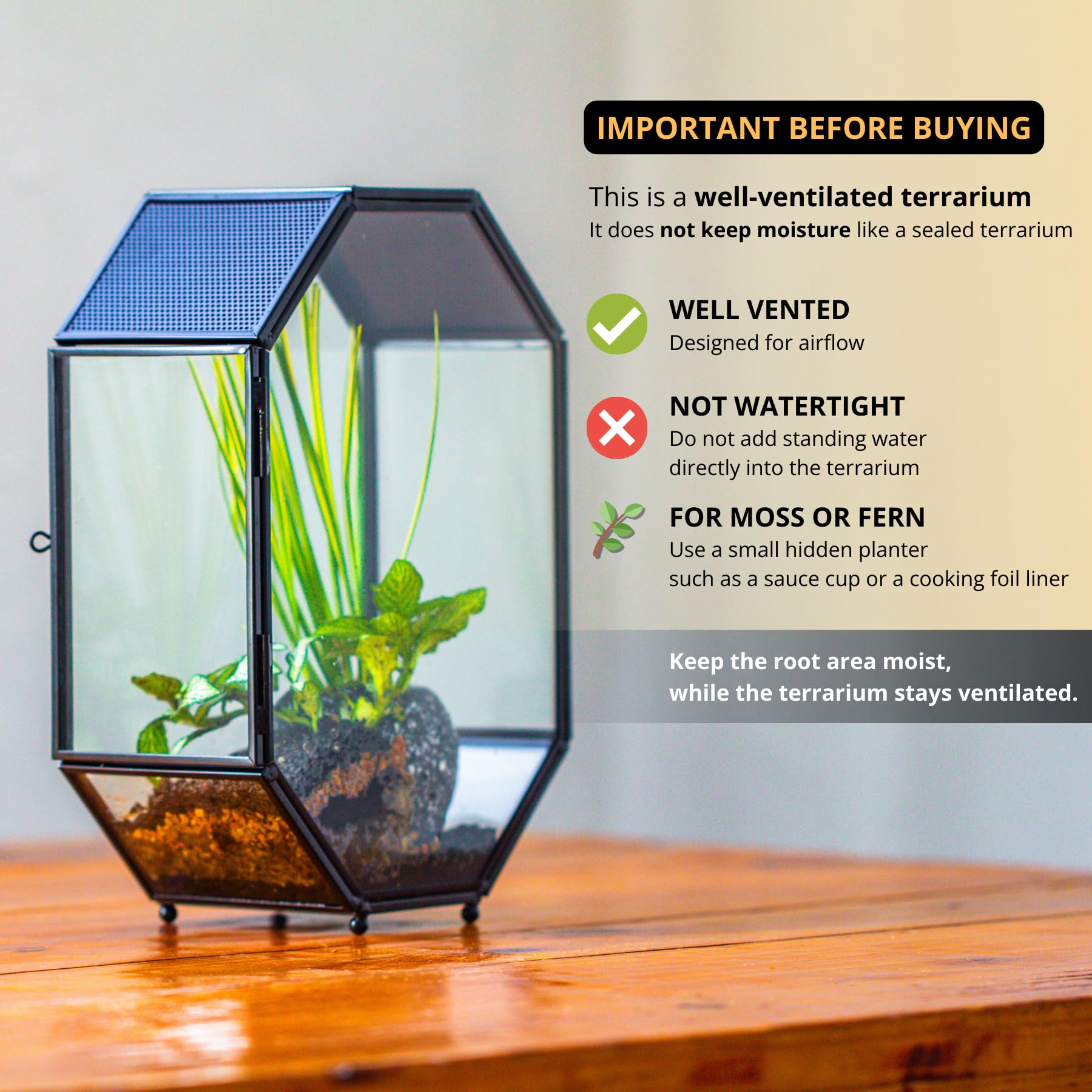 NCYP 15,8x8x22,1 cm Octogonale Terrarium en Verre avec Maille et Porte pour Araignées, Insectes, Petites Plantes (Plantes et Accessoires Non Inclus)