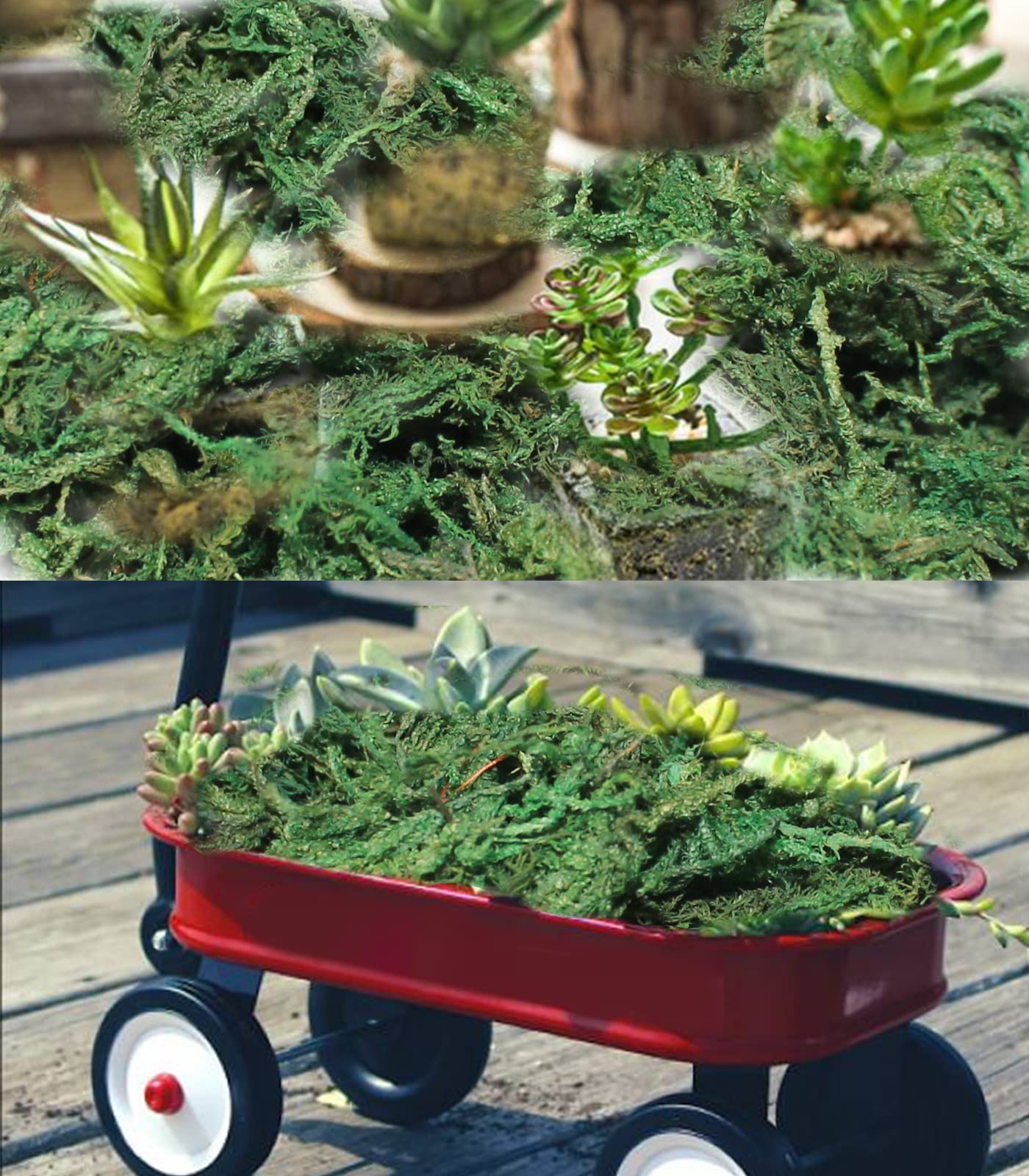 Musgo falso para plantas en maceta, musgo artificial para plantas falsas, musgo sintético para macetas, musgo decorativo para manualidades y decoración del hogar