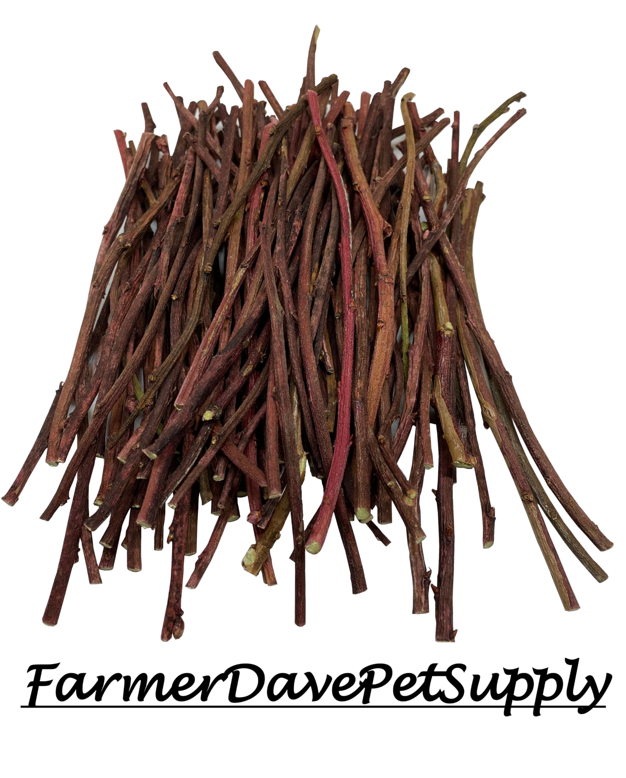 FarmerDavePetSupply 100 Blueberry Ultra Skinny Chew Twigs for Small Animals