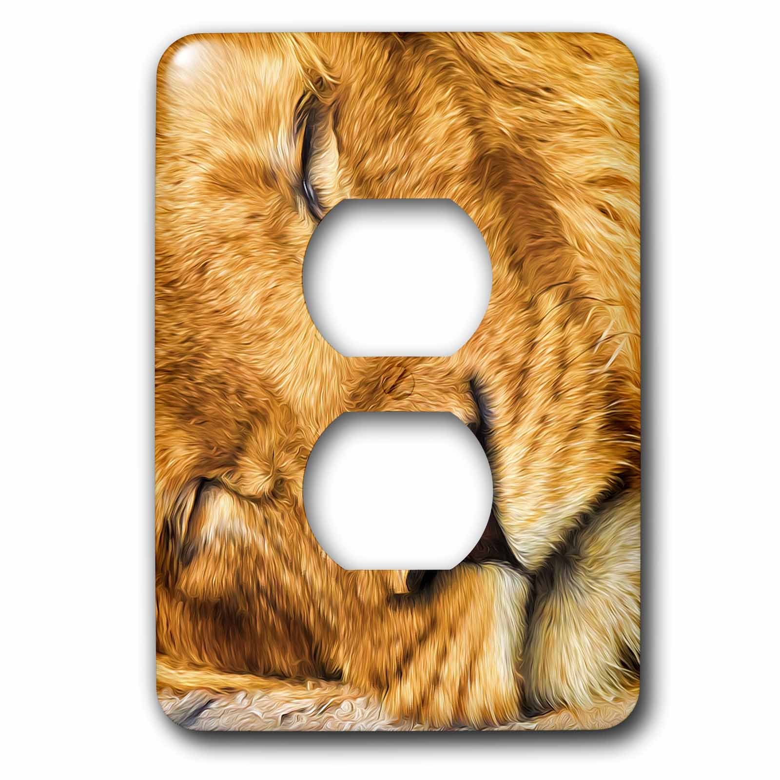 Interrupteur décoratif lion africain endormi 3dRose lsp_235491_6