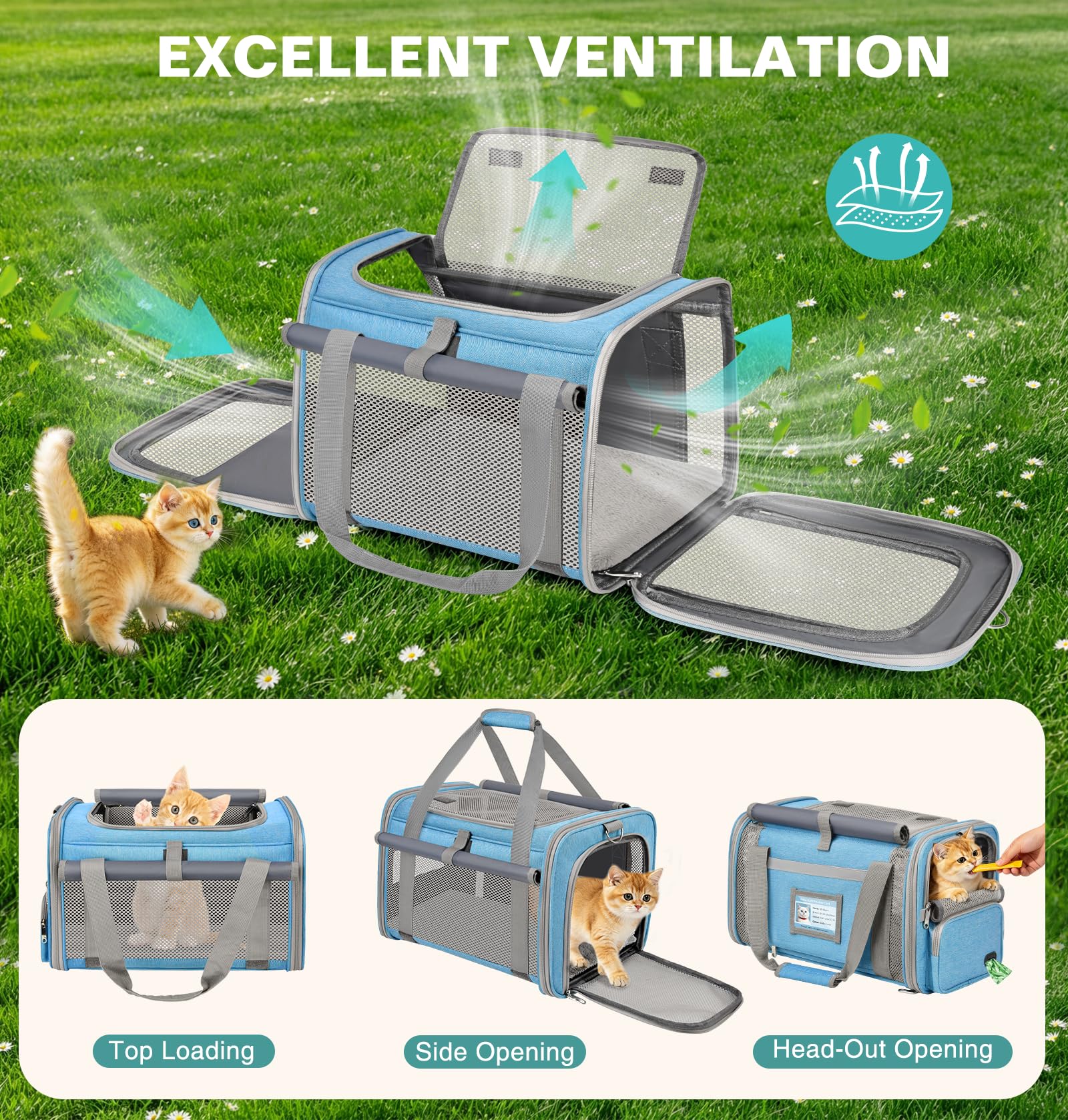 Katzentransportbox Flugzeugtauglich Hundebox Faltbar Weichseitige Transportbox Katze mit Innenleine Belüftung Katzentransporttasche für Reisen Auto Tierarzt bis 10kg (Himmelblau)