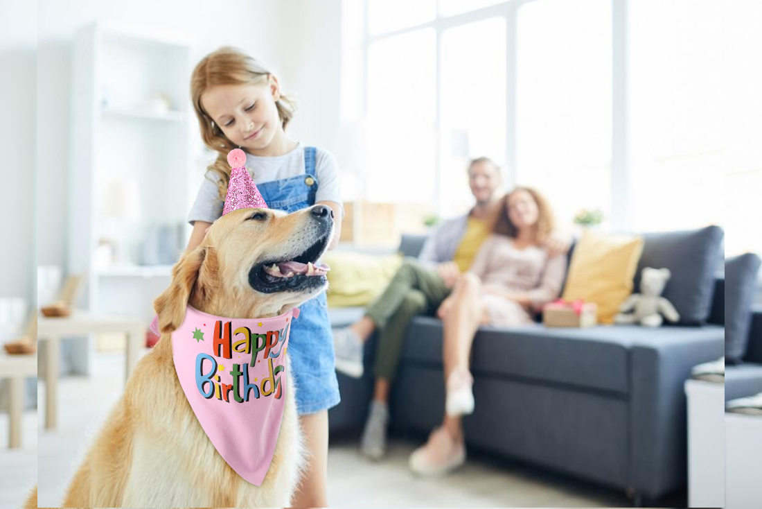 Blaoicni Dog Birthday Bandana Hat Scarf Party Supplies (Pink-Girl) - Image 8