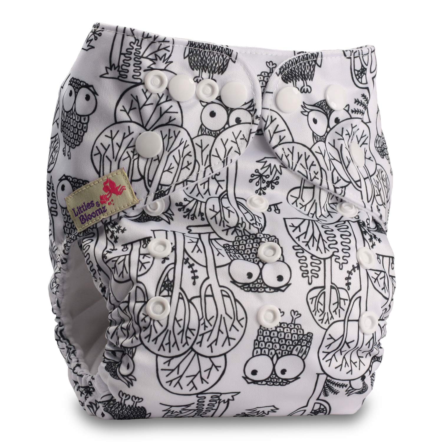 Littles & Bloomz, Reusable Pocket Cloth Nappy, Fastener: Popper, Set of 1, Pattern 99, with 1 Bamboo Charcoal Insert