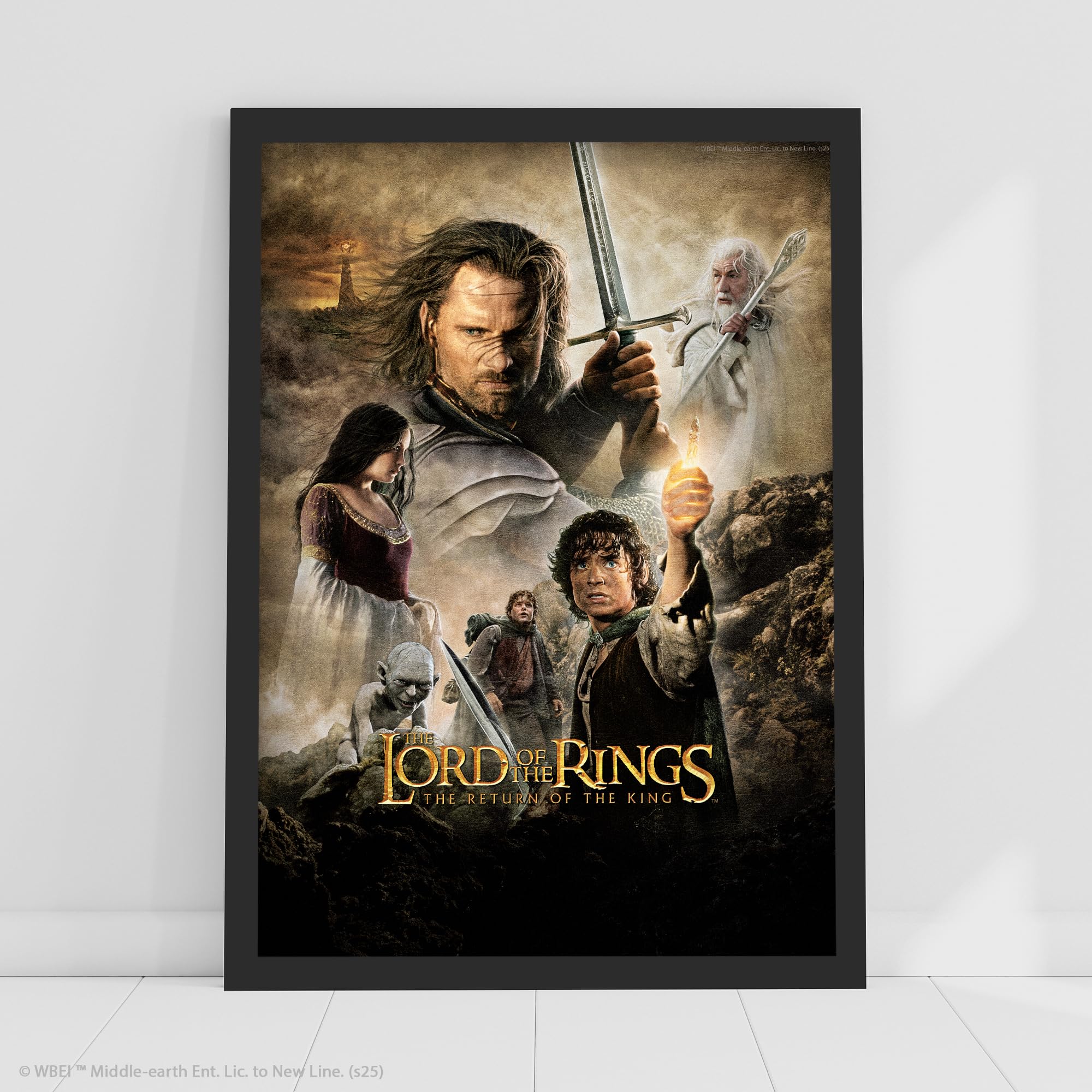 The Lord of The Rings Print - The Return of The King Group Poster Wall Art (29.7cm x 42cm - A3)
