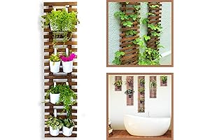 ShopLaLa Wall Planter for Climbing Plants