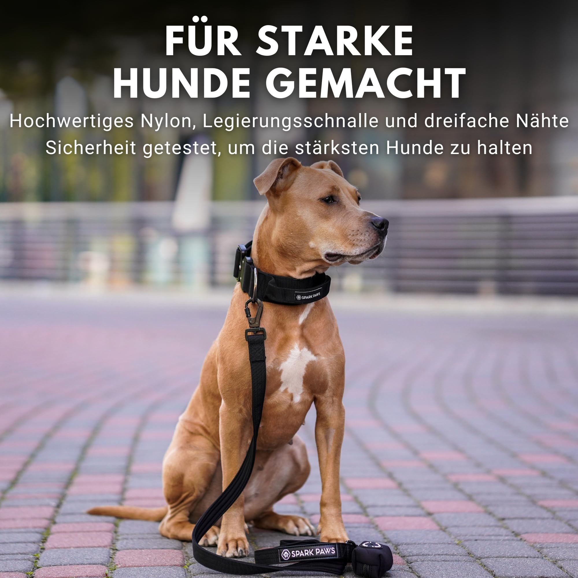 Spark Paws Taktisches Hundehalsband – Robuste, Premium-Qualität, Dick und Langlebig für Große und Mittelgroße Hunde - Schwarz - M: 23-39kg [5cm]