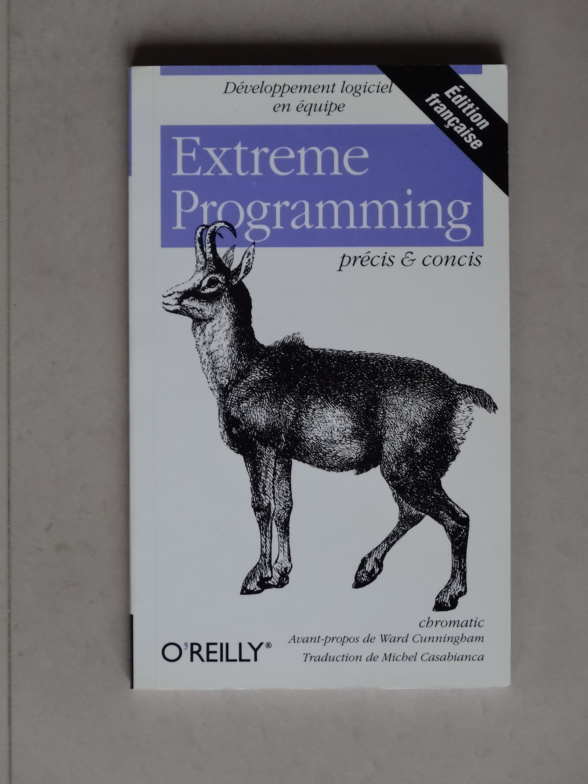 Extreme Programming