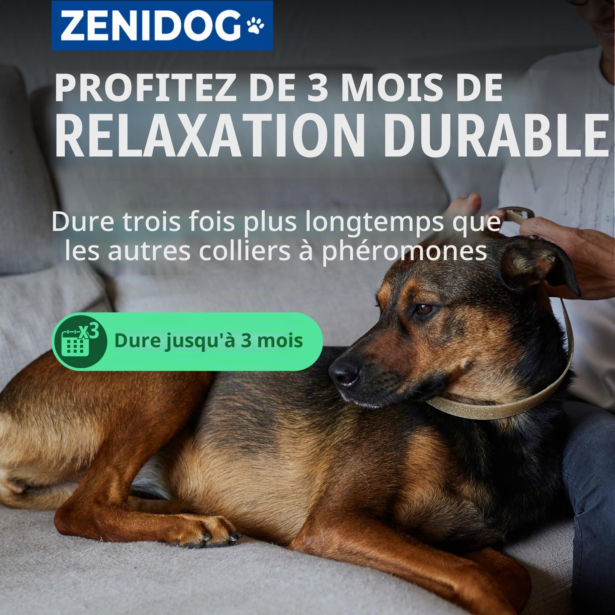 Virbac Zenidog Collier Apaisant pour Moyen et Grand Chien - Collier Chien apaisant Phéromones - Bien-être