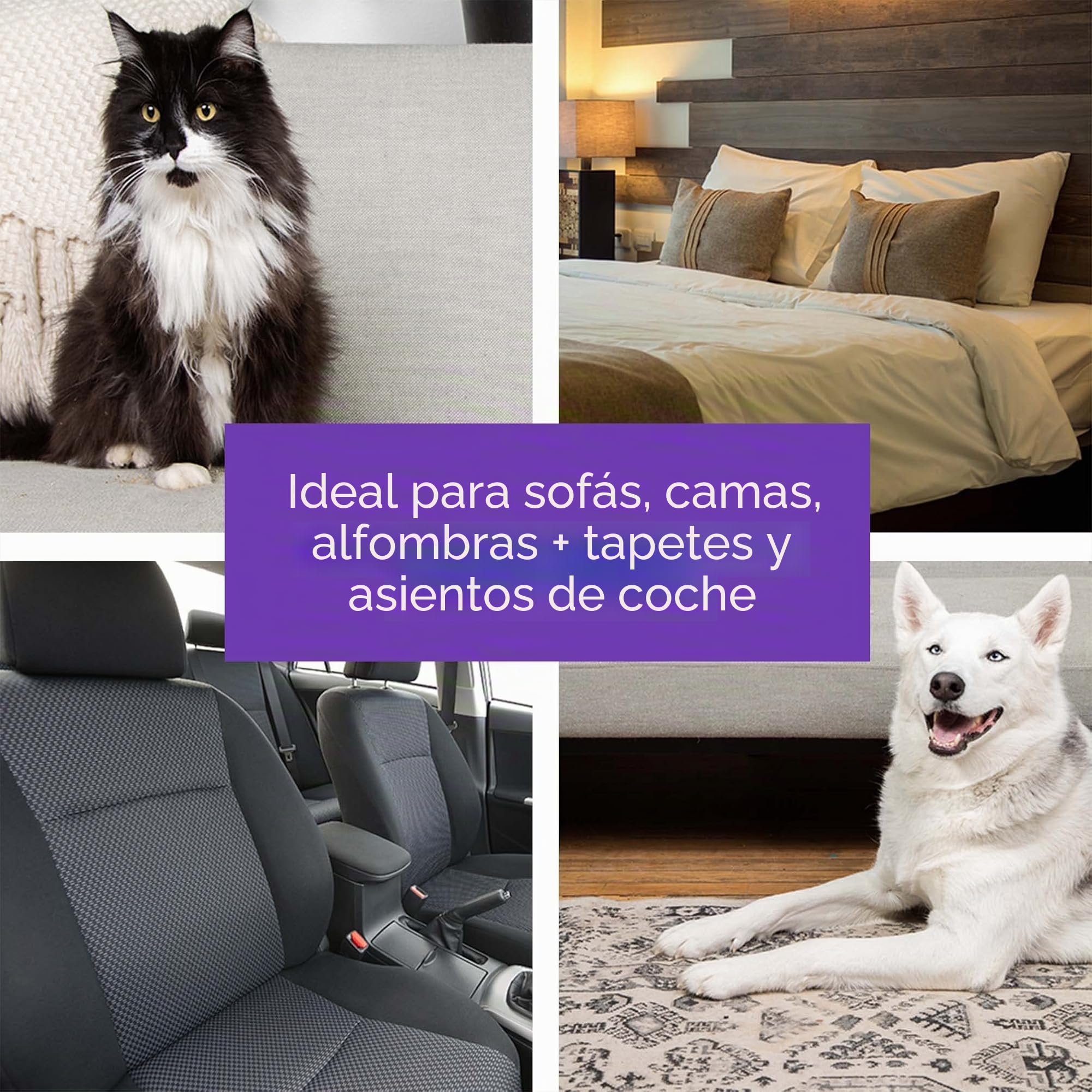BLACK+DECKER - Removedor de Pelo de Mascotas, Rodillo, Elimina el Pelo de Perro y Gato fácilmente (HMSCT0001)