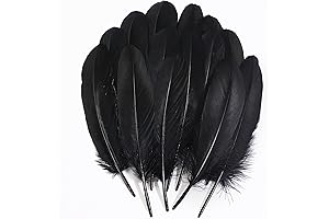 Ballinger Black Raven Feathers - The Perfect Accoutrement for Your Dark and Enchanting Creations