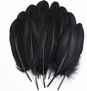Ballinger Large Craft Black Goose Feathers Bulk, 120 PCS, 6-8 Inch | Real Black Crow Feathers for Feathers for DIY Crafting,Halloween Decor,Angel Wings,Dream Catchers and Costume Accessories