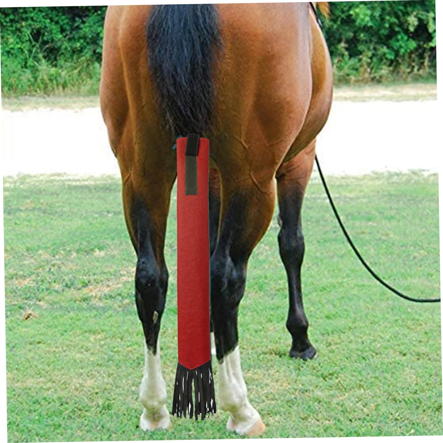 Sac de Queue de Cheval Anti-poussière 22x3 Pouces avec Franges, Rouge
