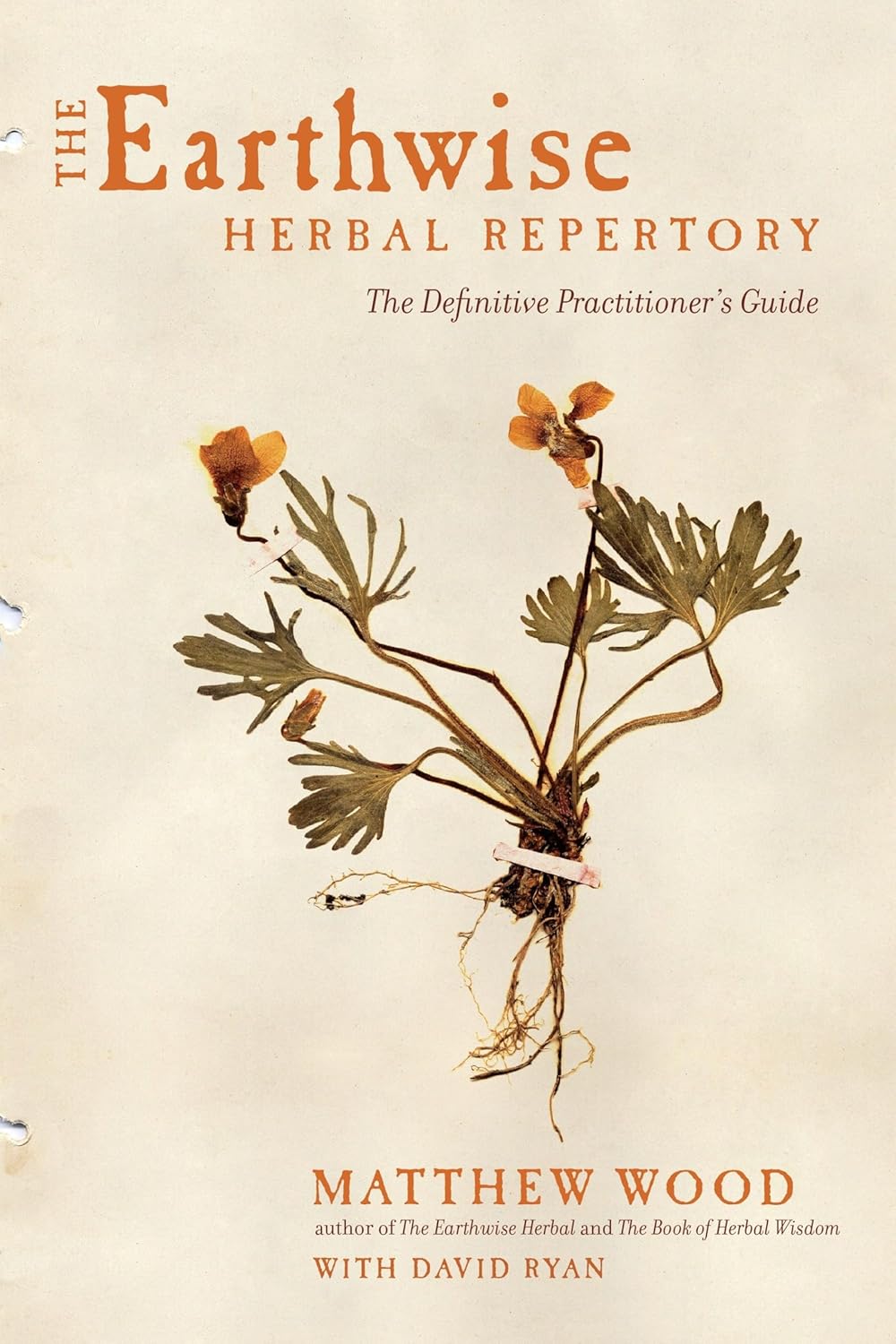 Earthwise Herbal Repertory by Matthew Wood: Definitive Guide for Herbalists & Homeopaths